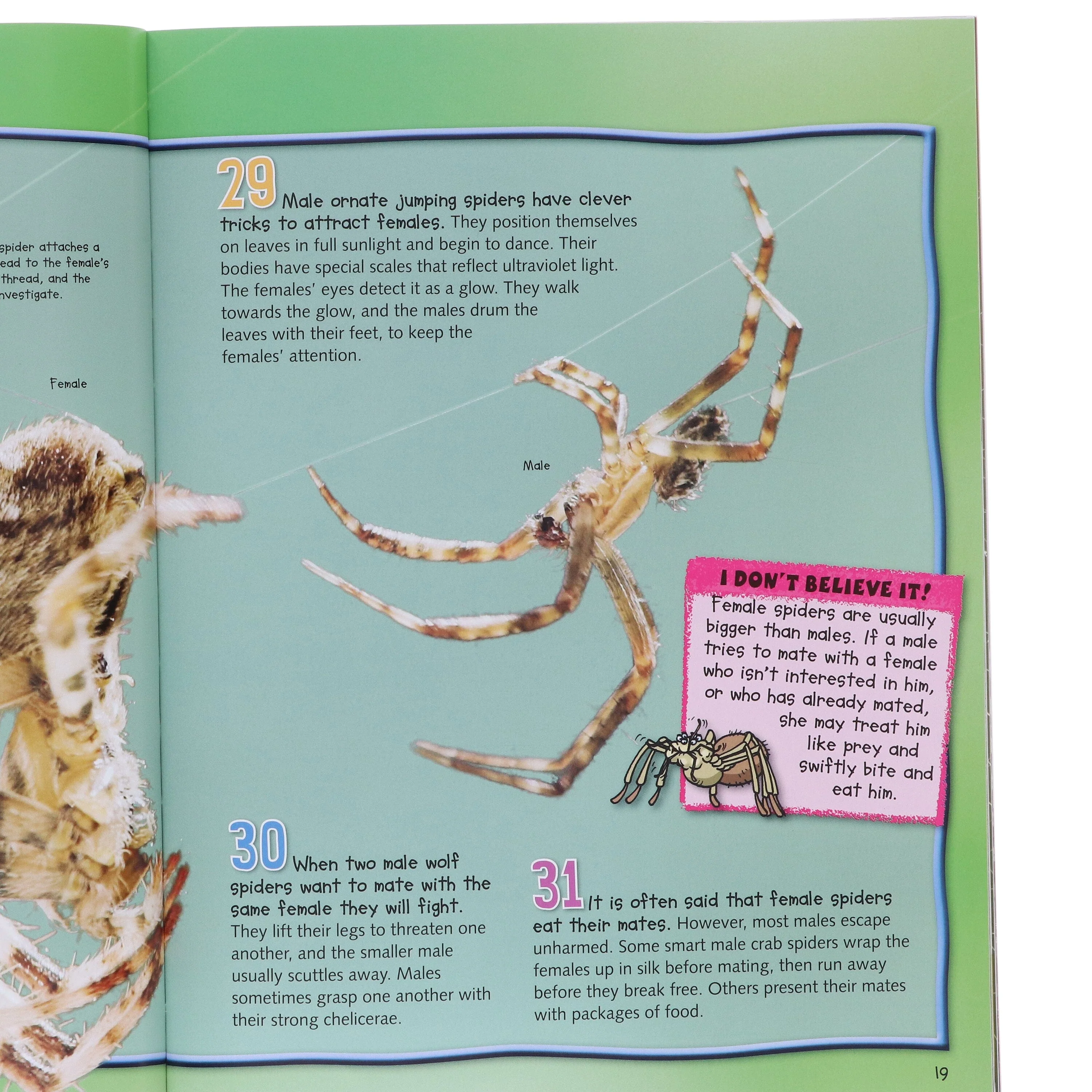 100 Facts Series by Steve Parker & Others 10 Books Collection Set - Ages 7+ - Paperback - Image 6
