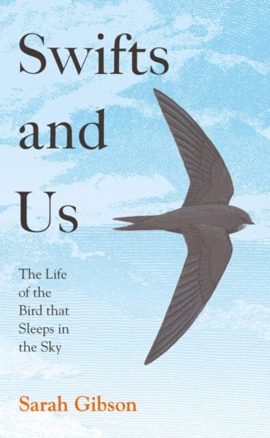 Swifts and Us: The Life of the Bird That Sleeps in the Sky by Sarah Gibson