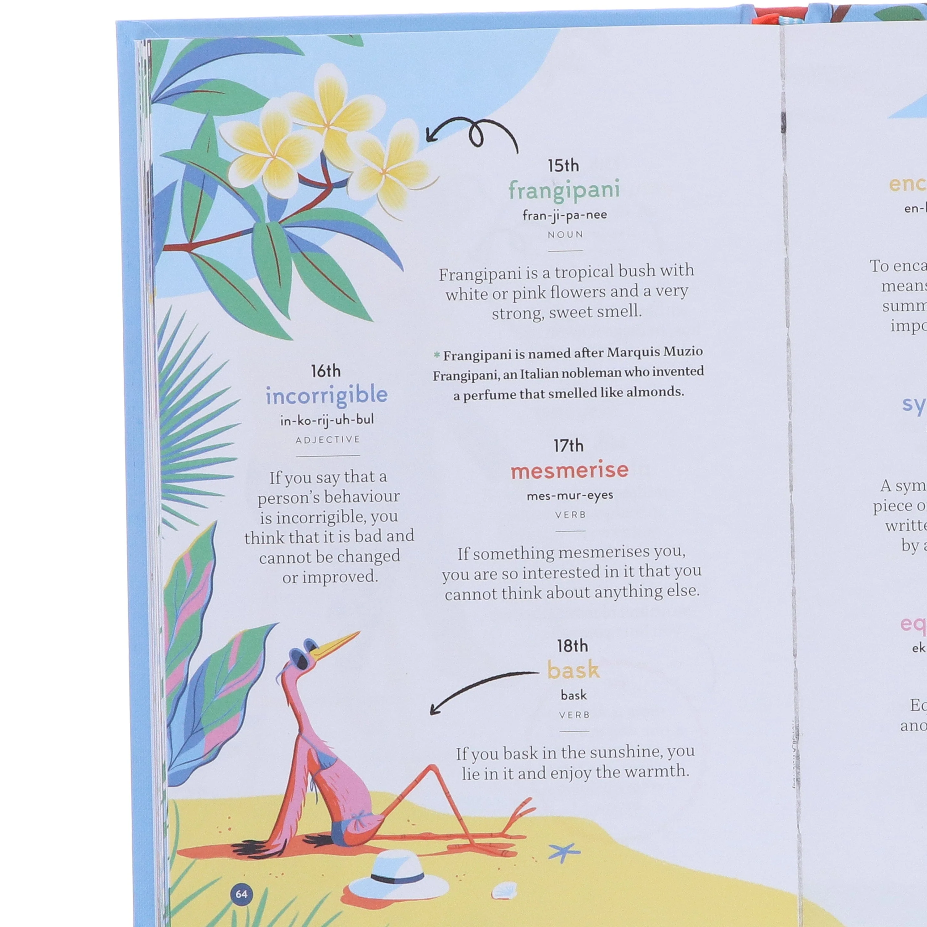 A Word a Day: 365 Words for Curious Minds by Collins Kids - Ages 7+ - Hardback - Image 5