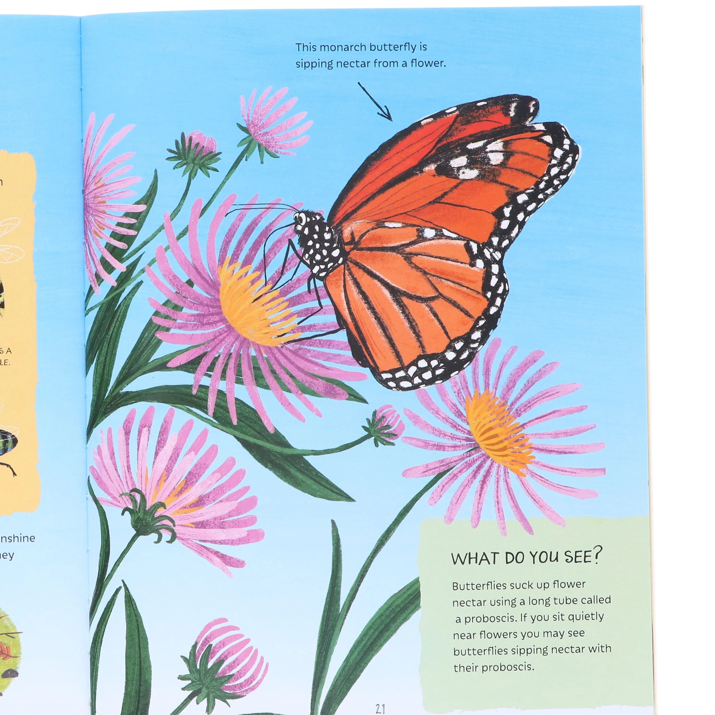 Adventures in Nature Series by Jen Green Illustrated 3 Picture Books Collection Set - Ages 7+ - Paperback - Image 6