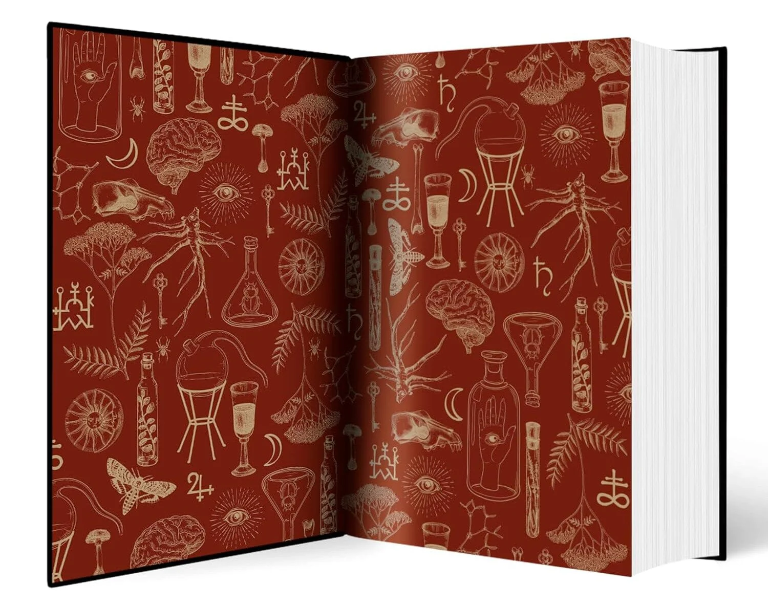 Alchemised by SenLinYu Collector’s Edition - Fiction - Deluxe Hardback - Image 7