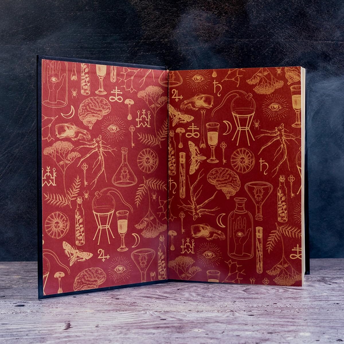 Alchemised by SenLinYu Collector’s Edition - Fiction - Deluxe Hardback - Image 8