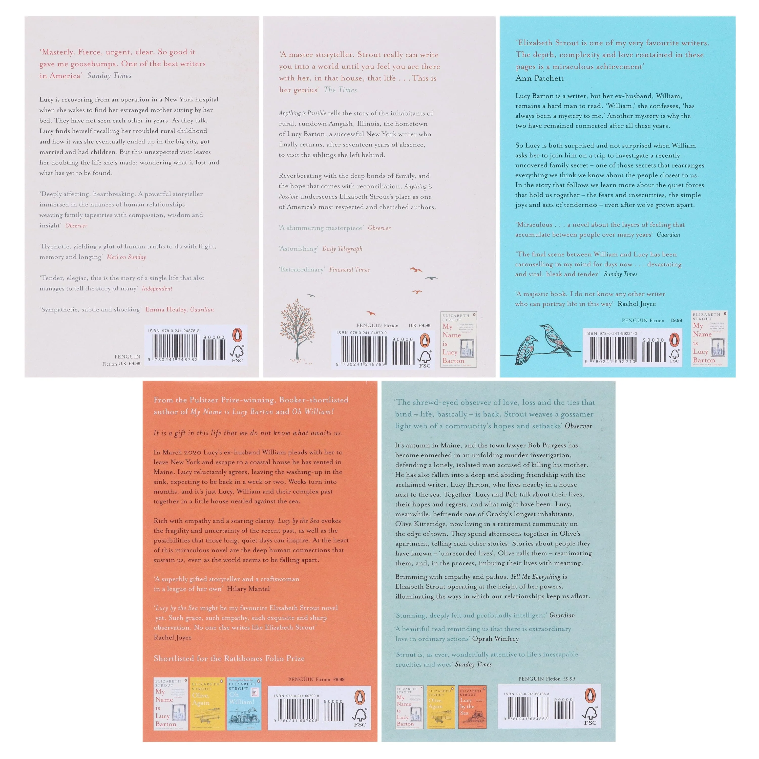 Amgash Series by Elizabeth Strout 5 Books Collection Set - Fiction - Paperback - Image 3