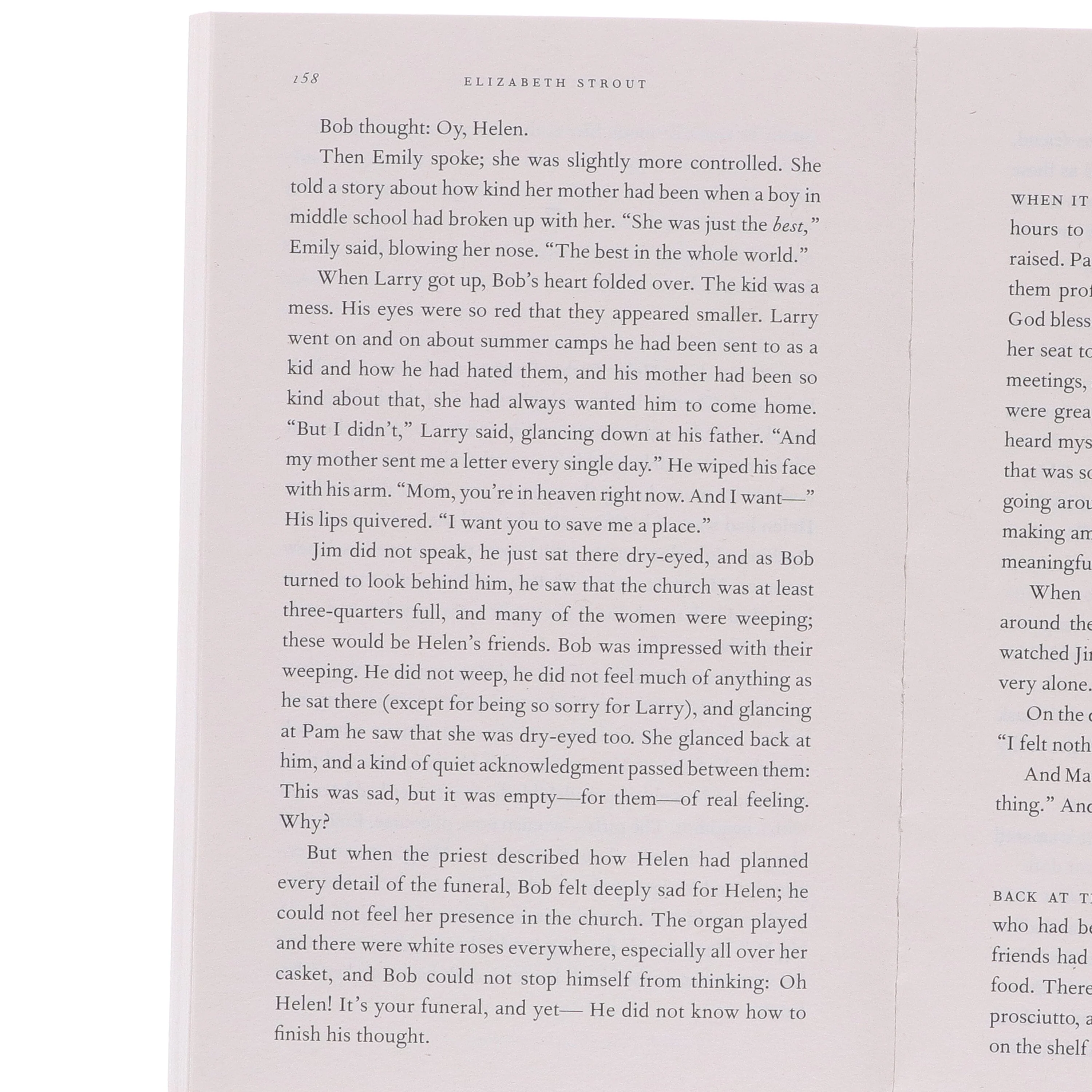 Amgash Series by Elizabeth Strout 5 Books Collection Set - Fiction - Paperback - Image 8