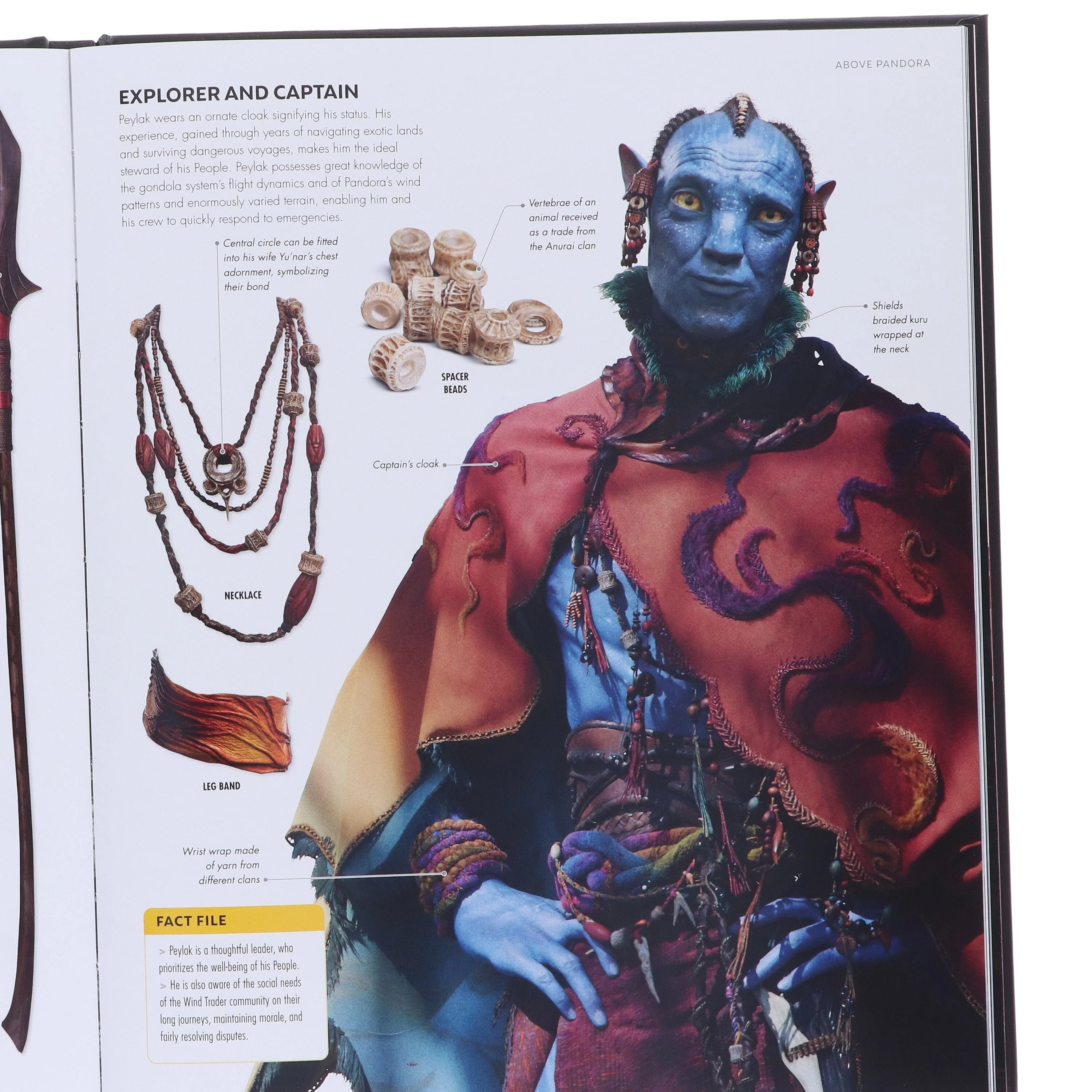 Avatar Fire and Ash: The Visual Dictionary by Reymundo Perez - Fiction - Hardback - Image 5
