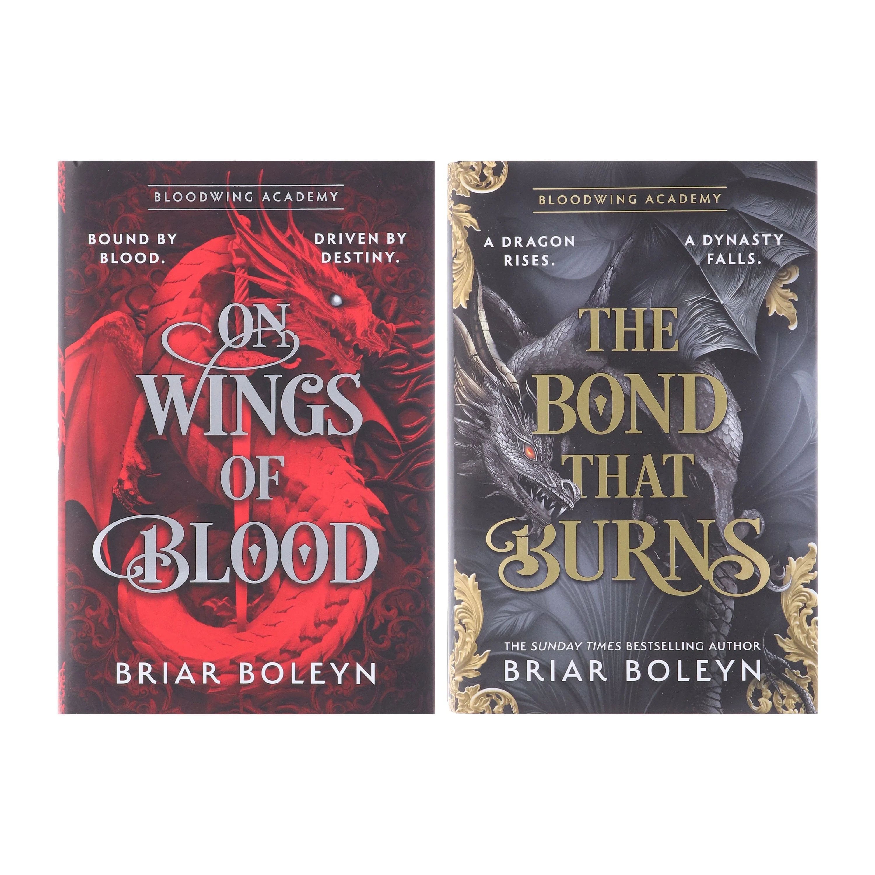 Bloodwing Academy Series by Briar Boleyn 2 Books Collection Set - Fiction - Hardback - Image 2