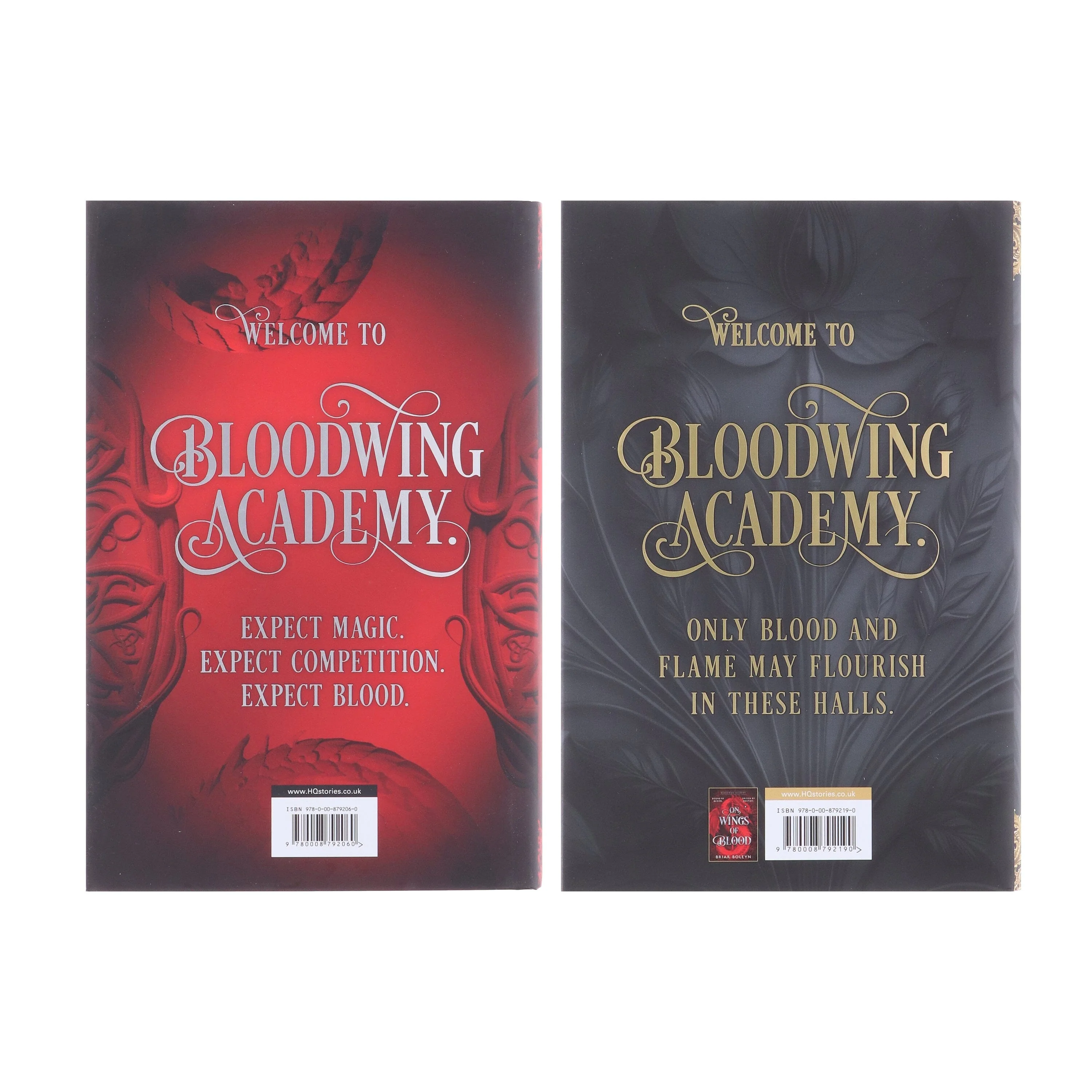 Bloodwing Academy Series by Briar Boleyn 2 Books Collection Set - Fiction - Hardback - Image 3