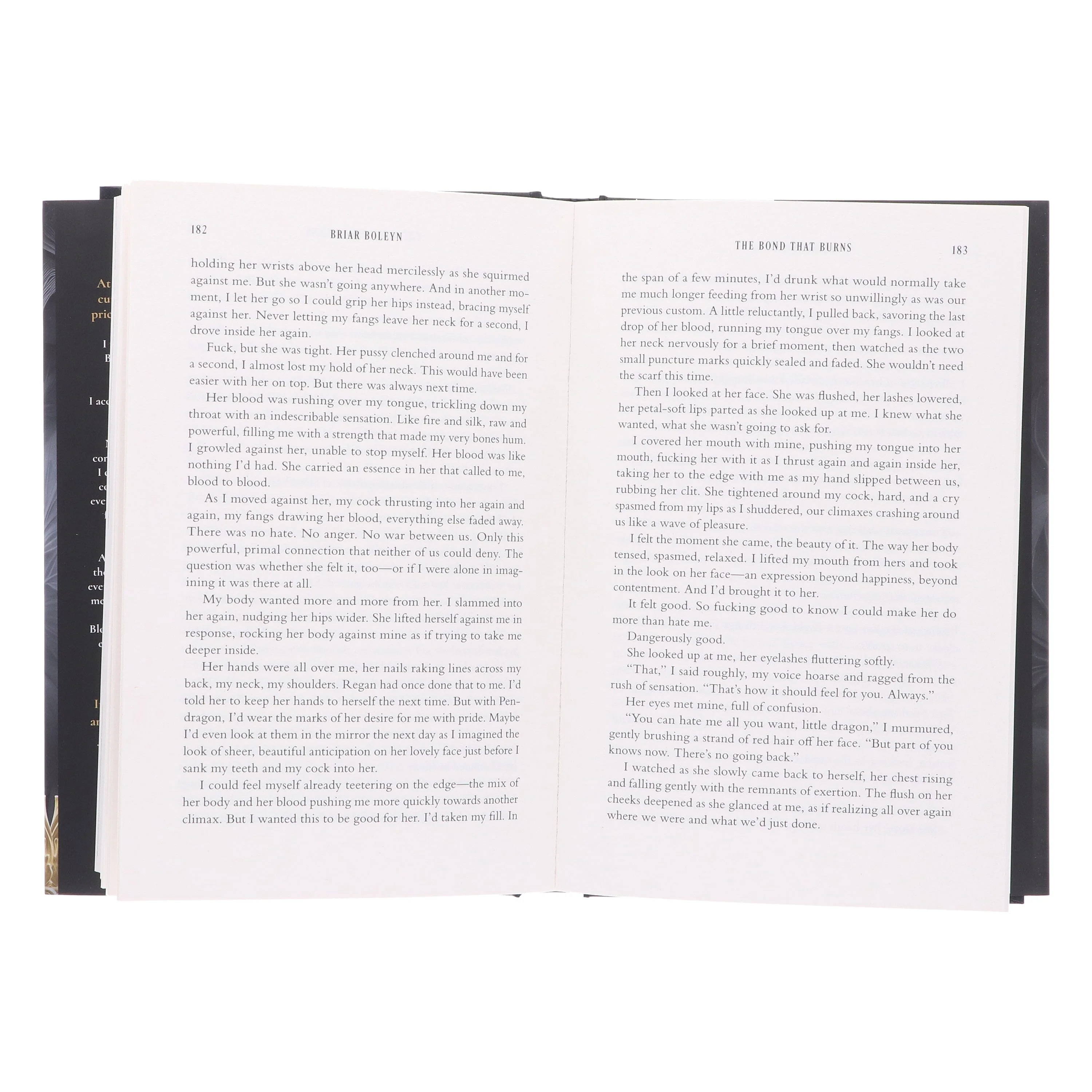 Bloodwing Academy Series by Briar Boleyn 2 Books Collection Set - Fiction - Hardback - Image 5