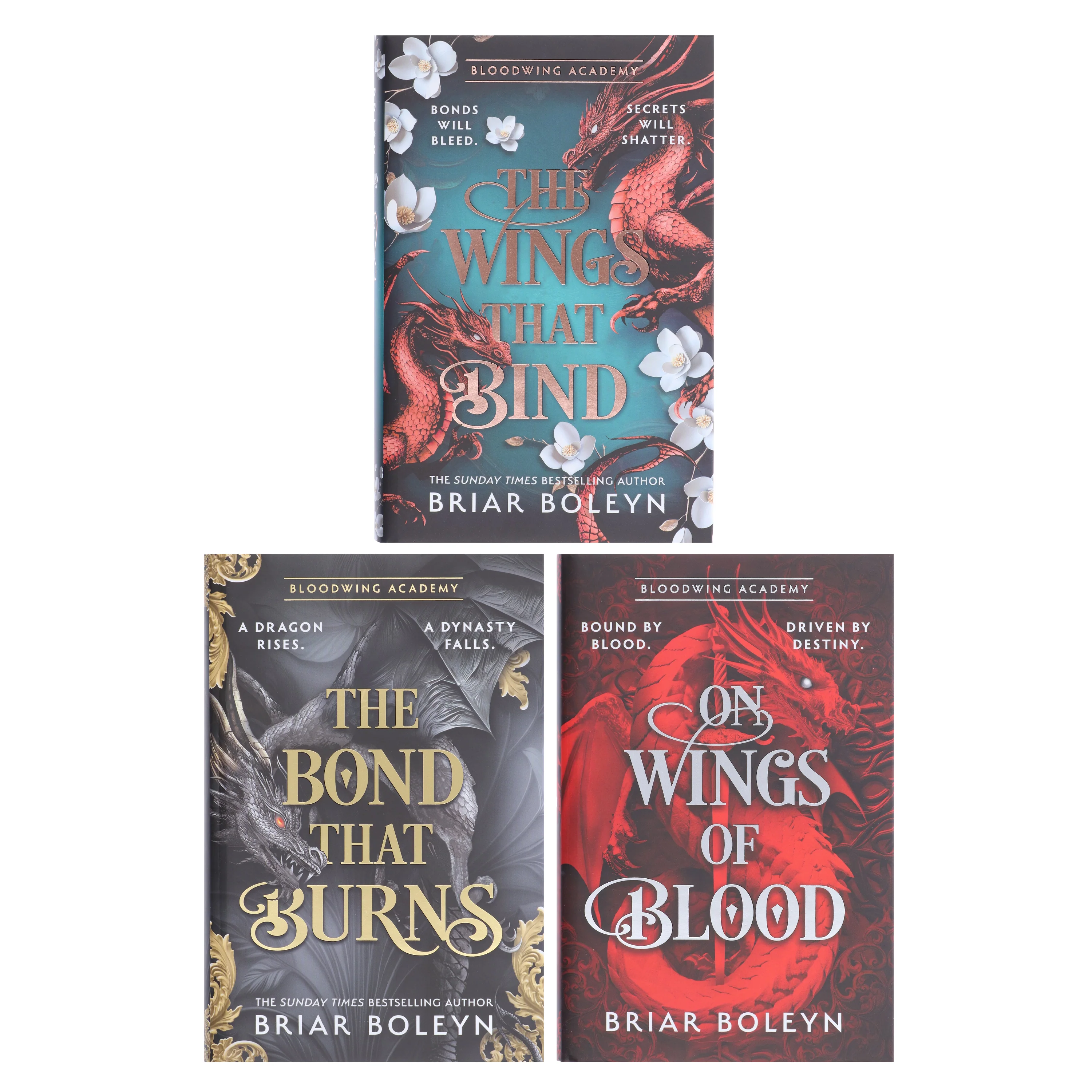 Bloodwing Academy Series by Briar Boleyn 3 Books Collection Set - Fiction - Hardback - Image 2