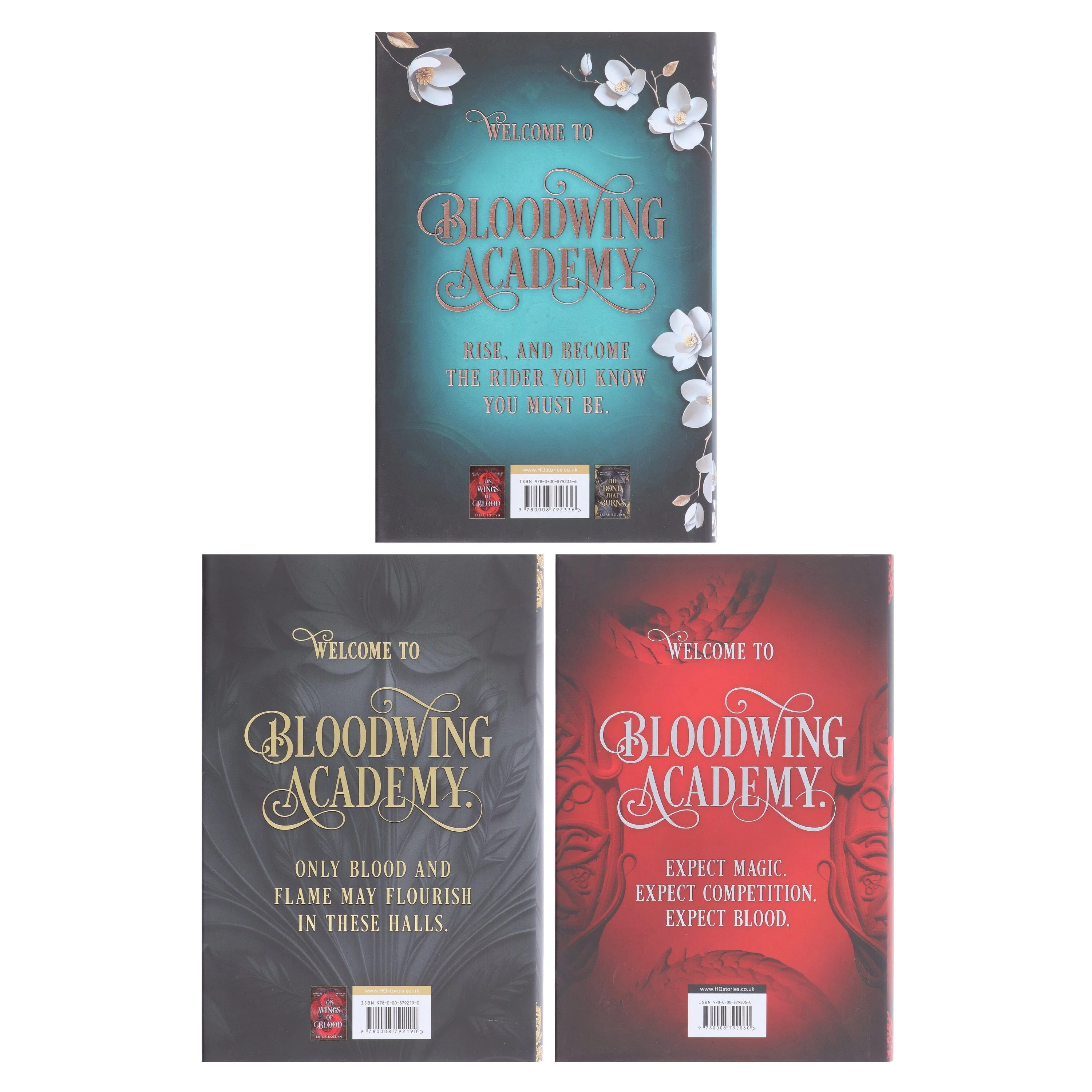 Bloodwing Academy Series by Briar Boleyn 3 Books Collection Set - Fiction - Hardback - Image 3