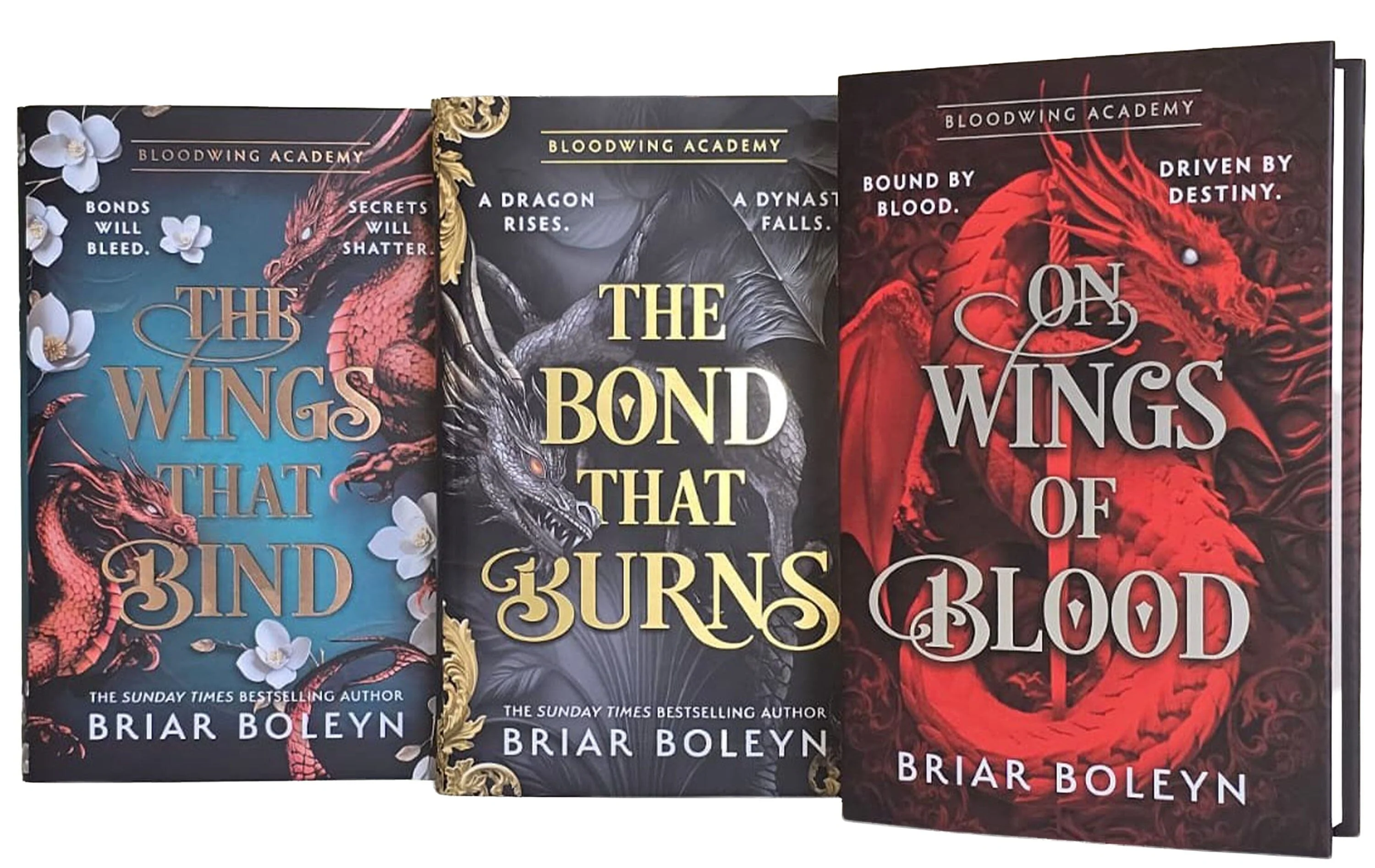 Bloodwing Academy Series by Briar Boleyn 3 Books Collection Set - Fiction - Hardback - Image 4