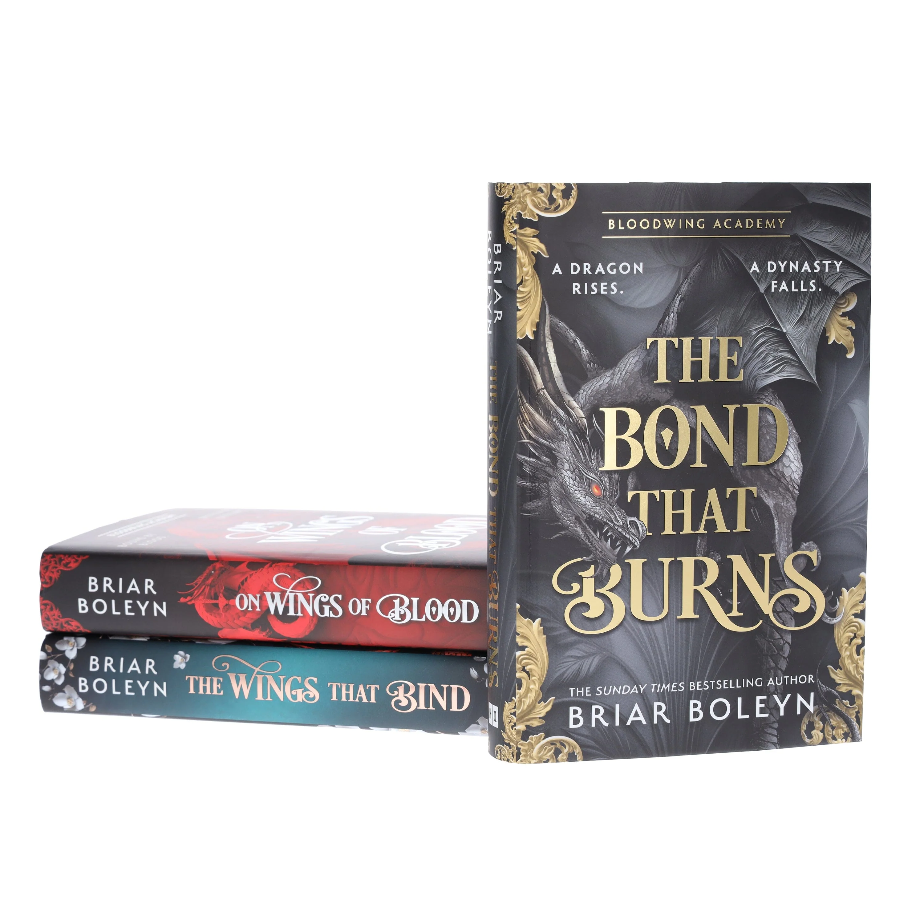 Bloodwing Academy Series by Briar Boleyn 3 Books Collection Set - Fiction - Hardback - Image 5