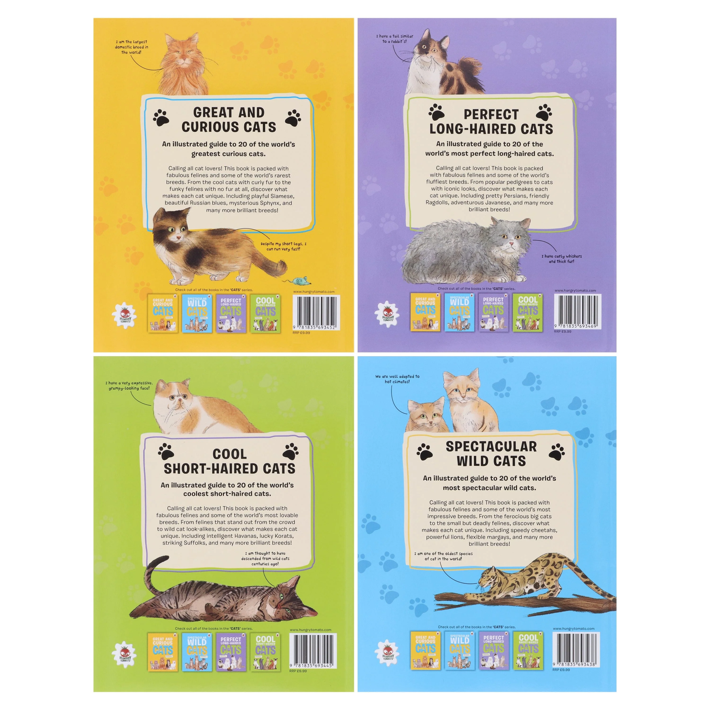 Cats Series by Eliza Jeffery Illustrated 4 Books Collection Set - Ages 4+ - Paperback - Image 2