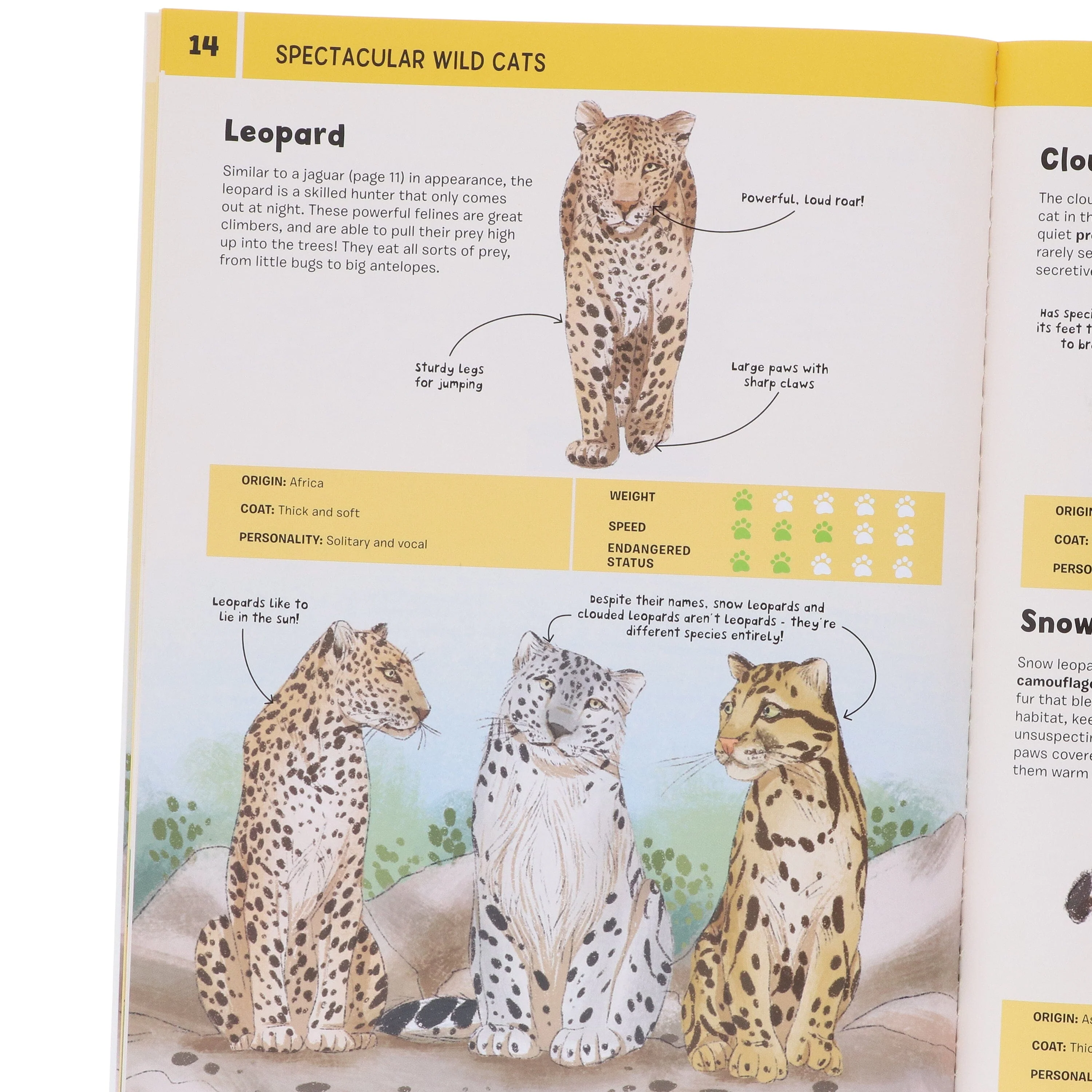 Cats Series by Eliza Jeffery Illustrated 4 Books Collection Set - Ages 4+ - Paperback - Image 4