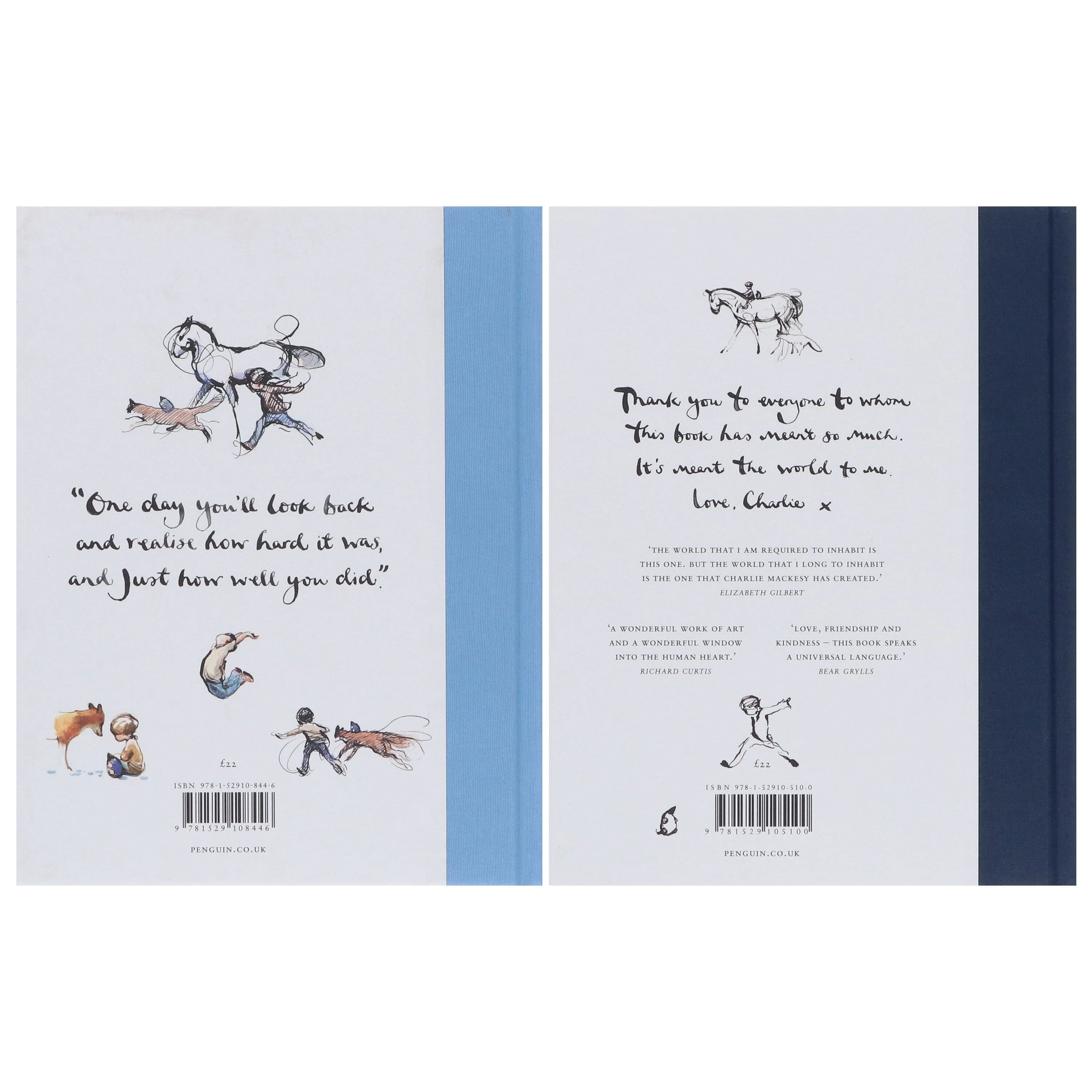 Charlie Mackesy Collection (Always Remember & The Boy, The Mole, The Fox and The Horse) 2 Books Set - Fiction - Hardback - Image 3