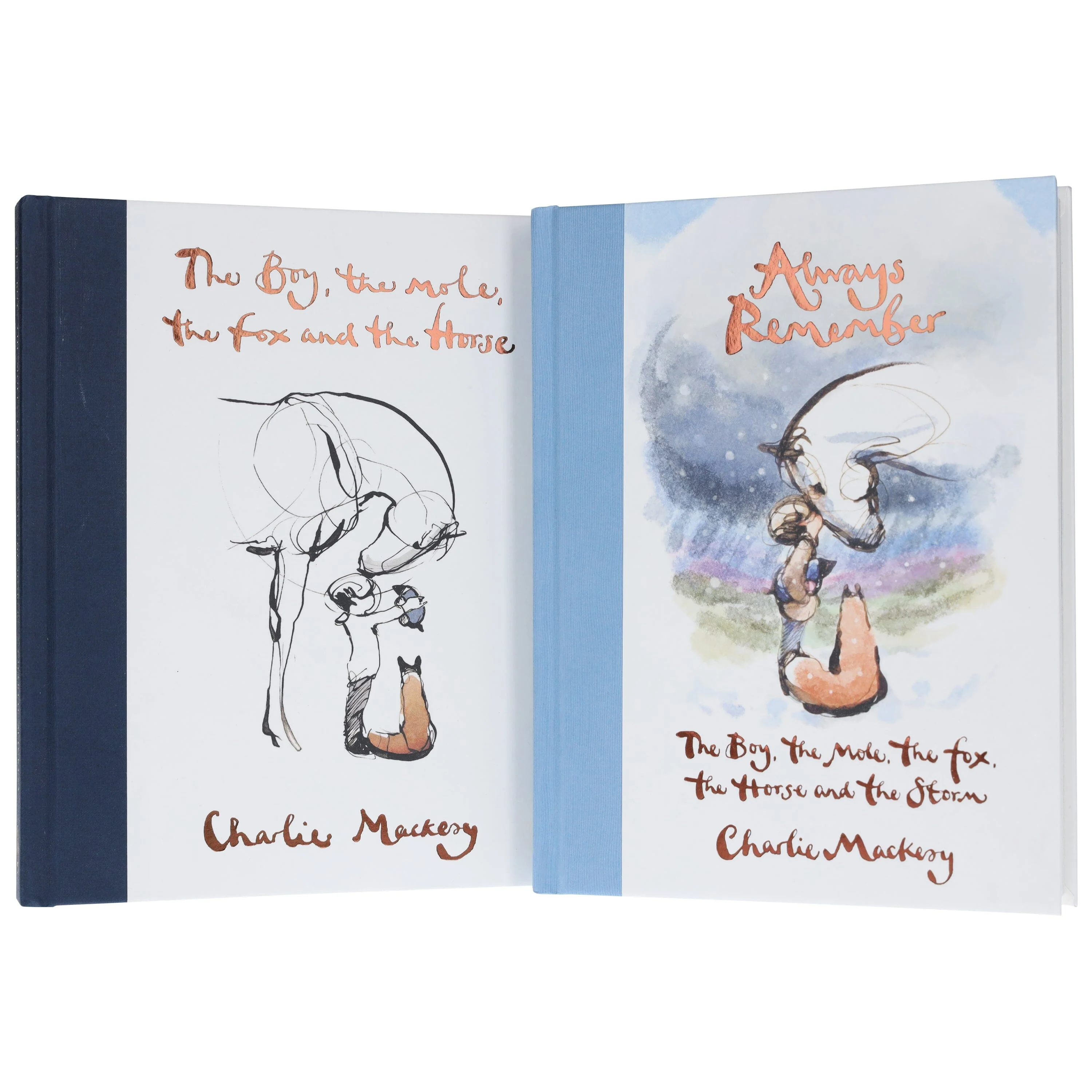 Charlie Mackesy Collection (Always Remember & The Boy, The Mole, The Fox and The Horse) 2 Books Set - Fiction - Hardback - Image 4