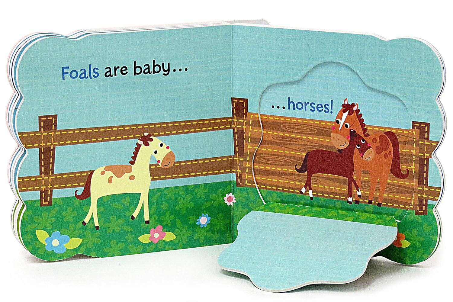 Babies Love Chunky Lift-a-Flap 4 Books Collection Set - Ages 0+ - Board Book - Image 4