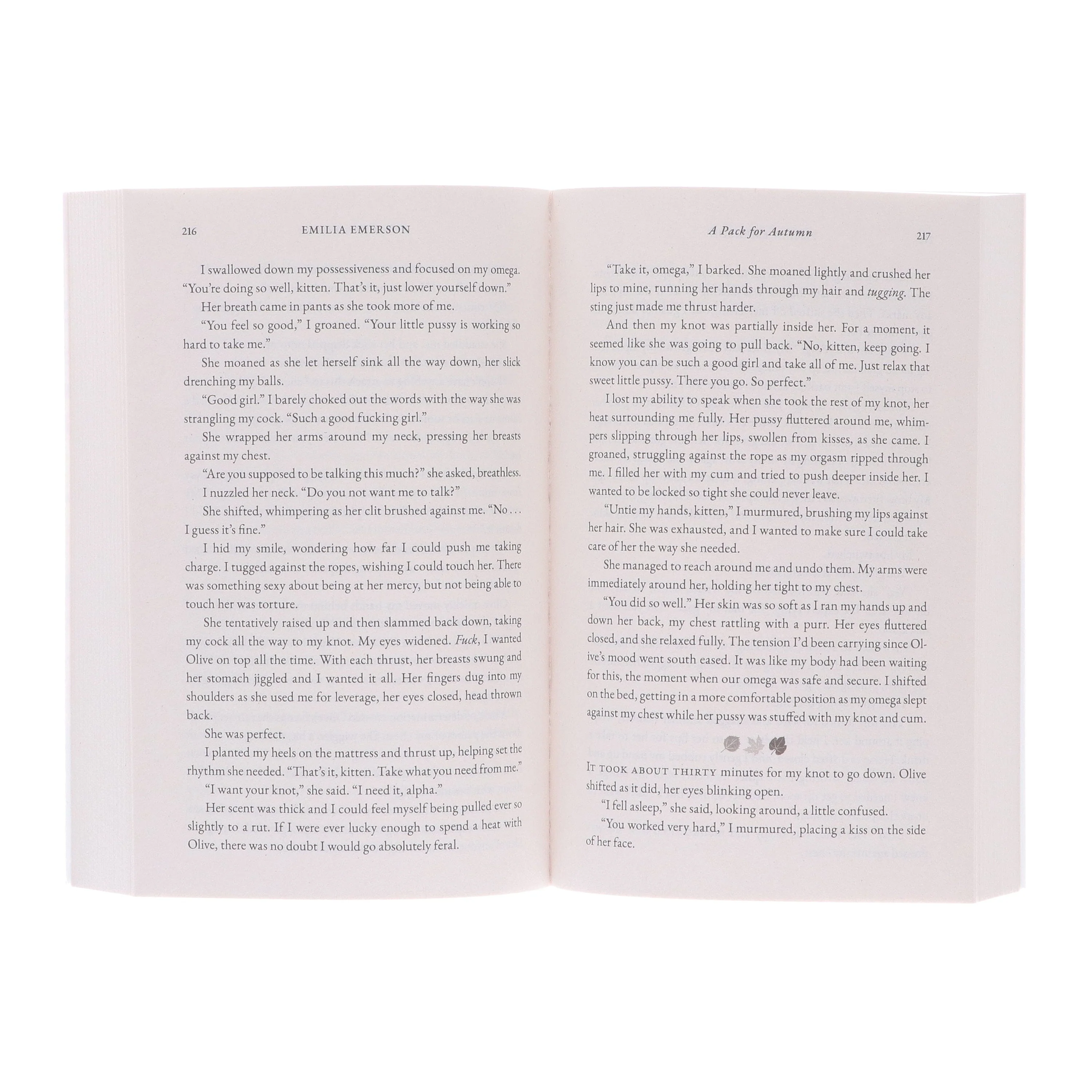 Cozyverse Series by Emilia Emerson & Eliana Lee 2 Books Collection Set - Fiction - Paperback - Image 6
