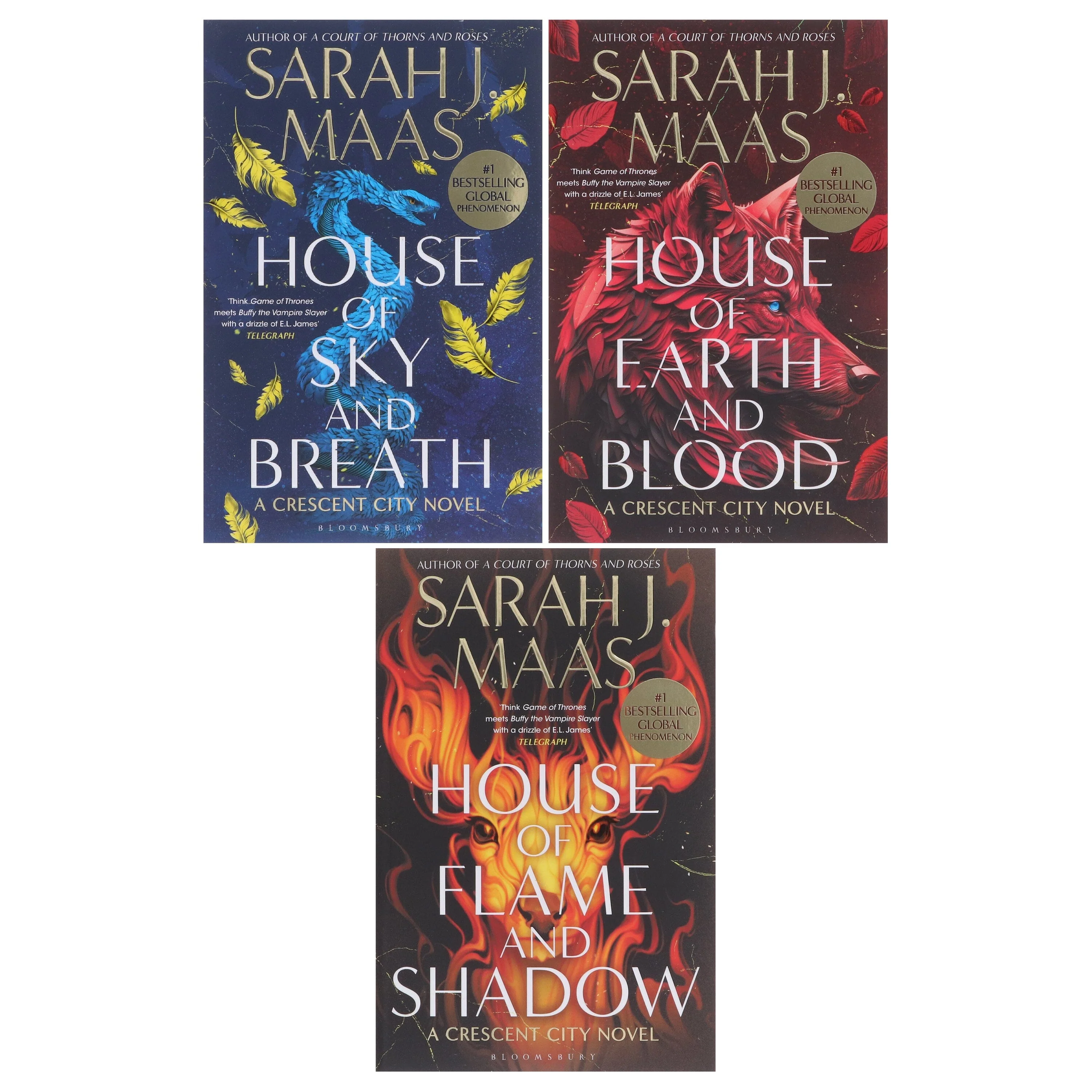 Crescent City Series by Sarah J. Maas 3 Books Collection Set - Fiction - Paperback - Image 2