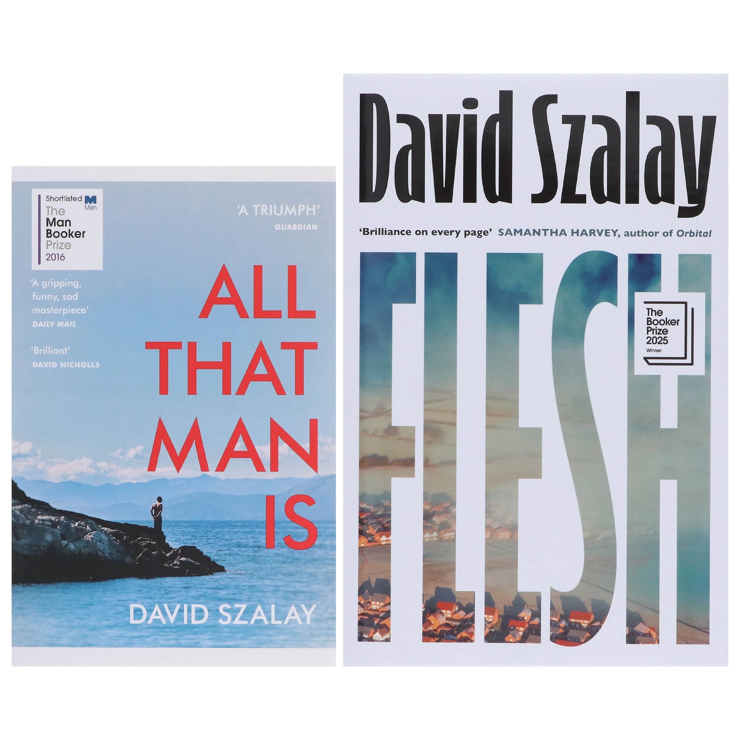 David Szalay Collection (All That Man Is & Flesh) 2 Books Set - Fiction - Paperback/Hardback - Image 2