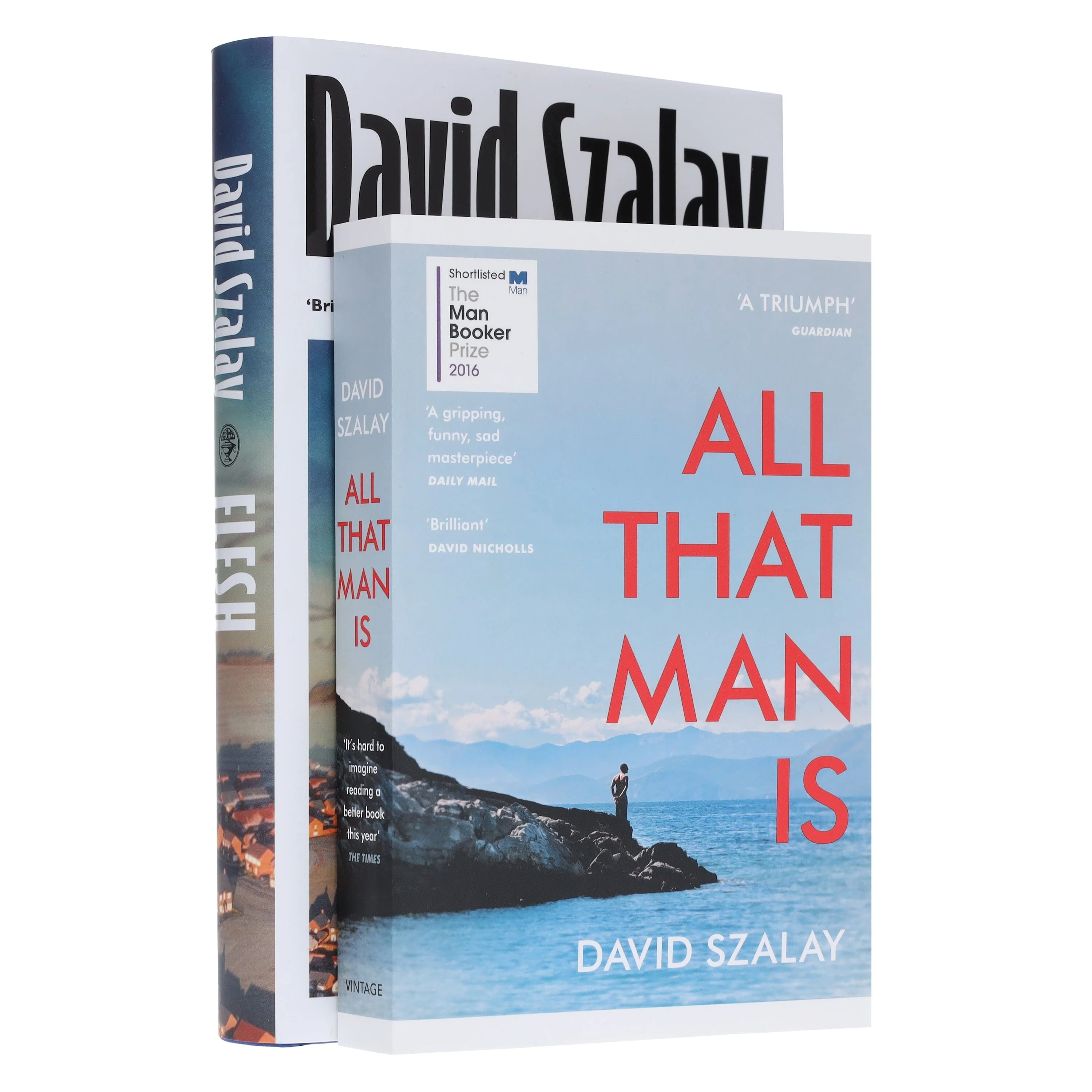 David Szalay Collection (All That Man Is & Flesh) 2 Books Set - Fiction - Paperback/Hardback - Image 5