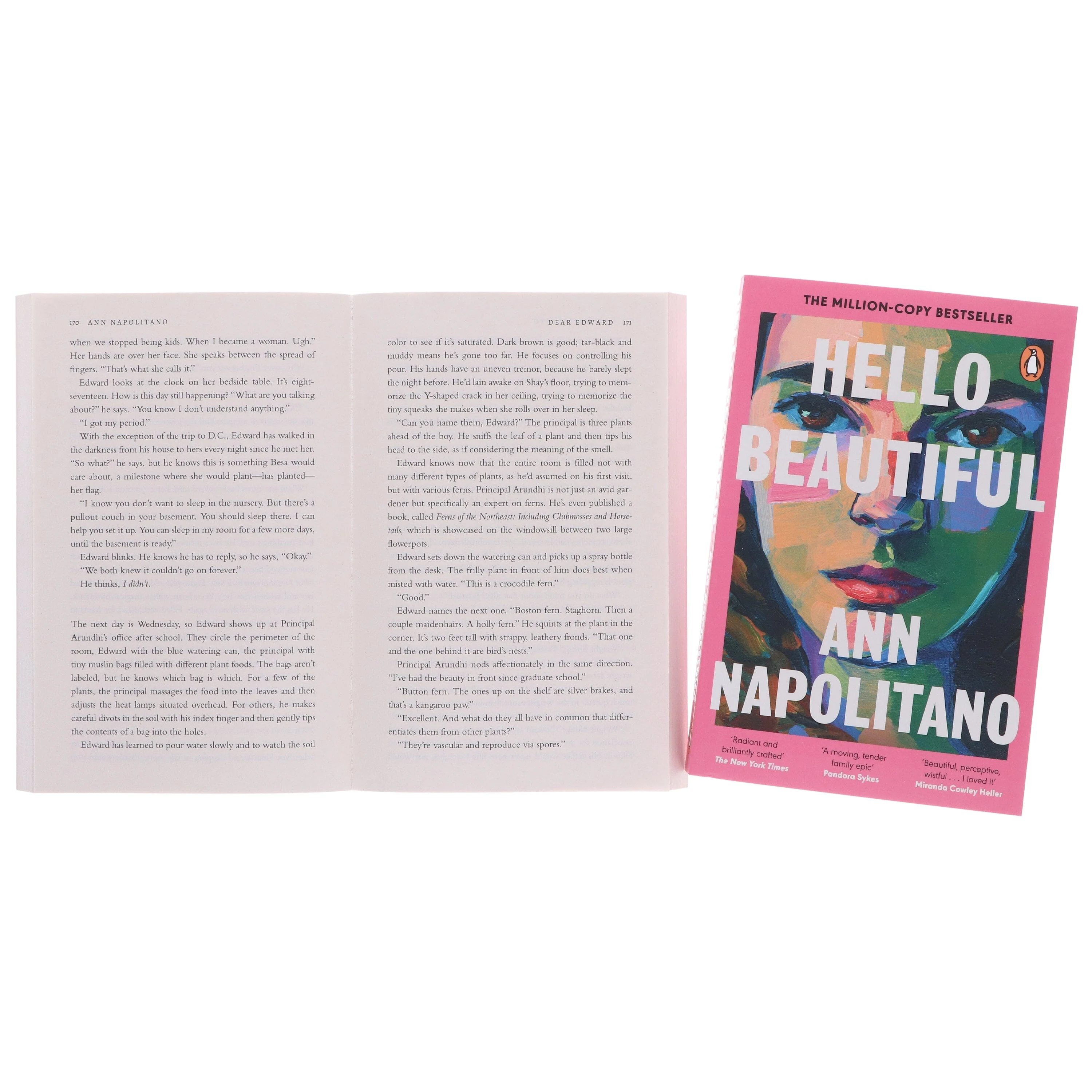 Dear Edward & Hello Beautiful by Ann Napolitano 2 Books Collection Set - Fiction - Paperback - Image 7