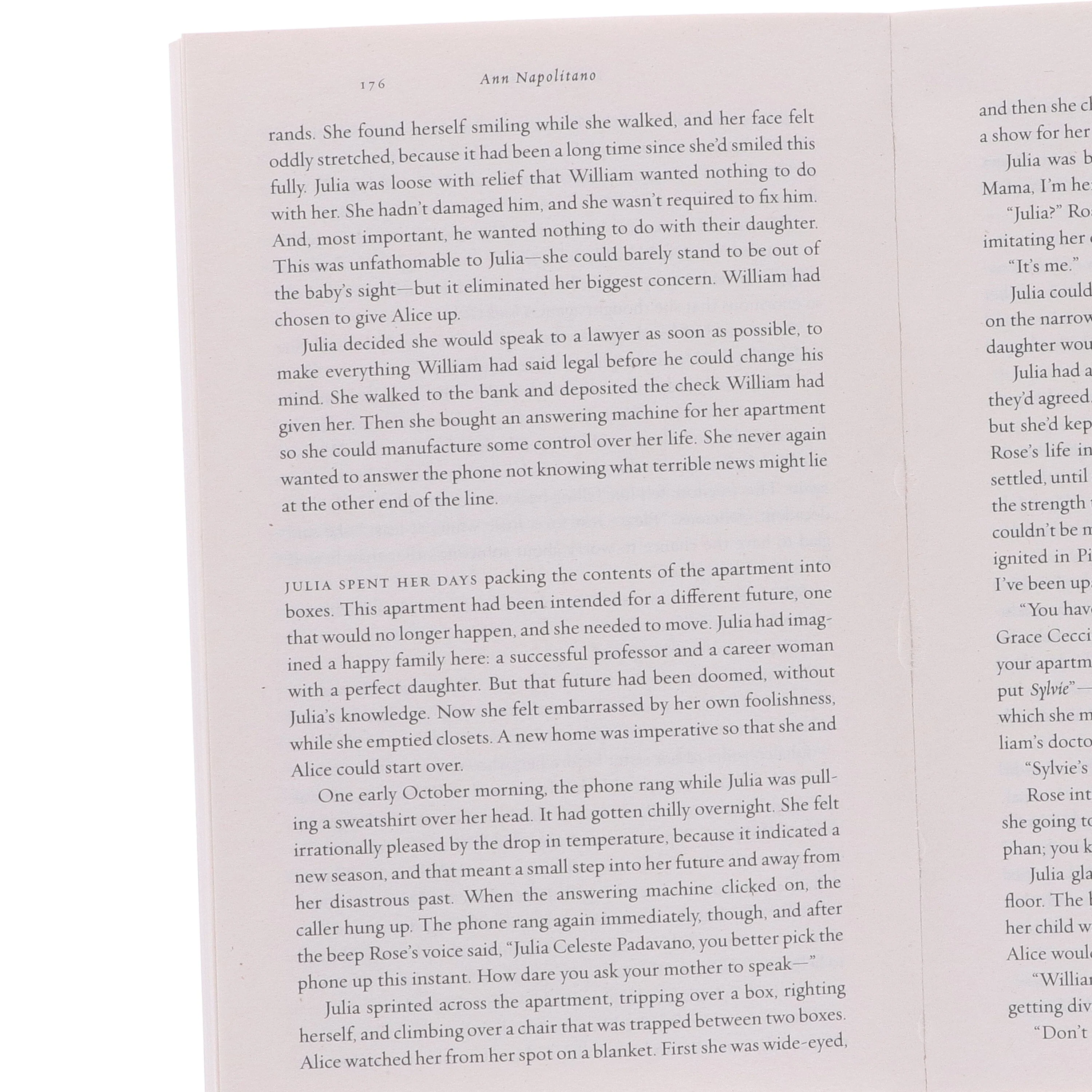 Dear Edward & Hello Beautiful by Ann Napolitano 2 Books Collection Set - Fiction - Paperback - Image 8
