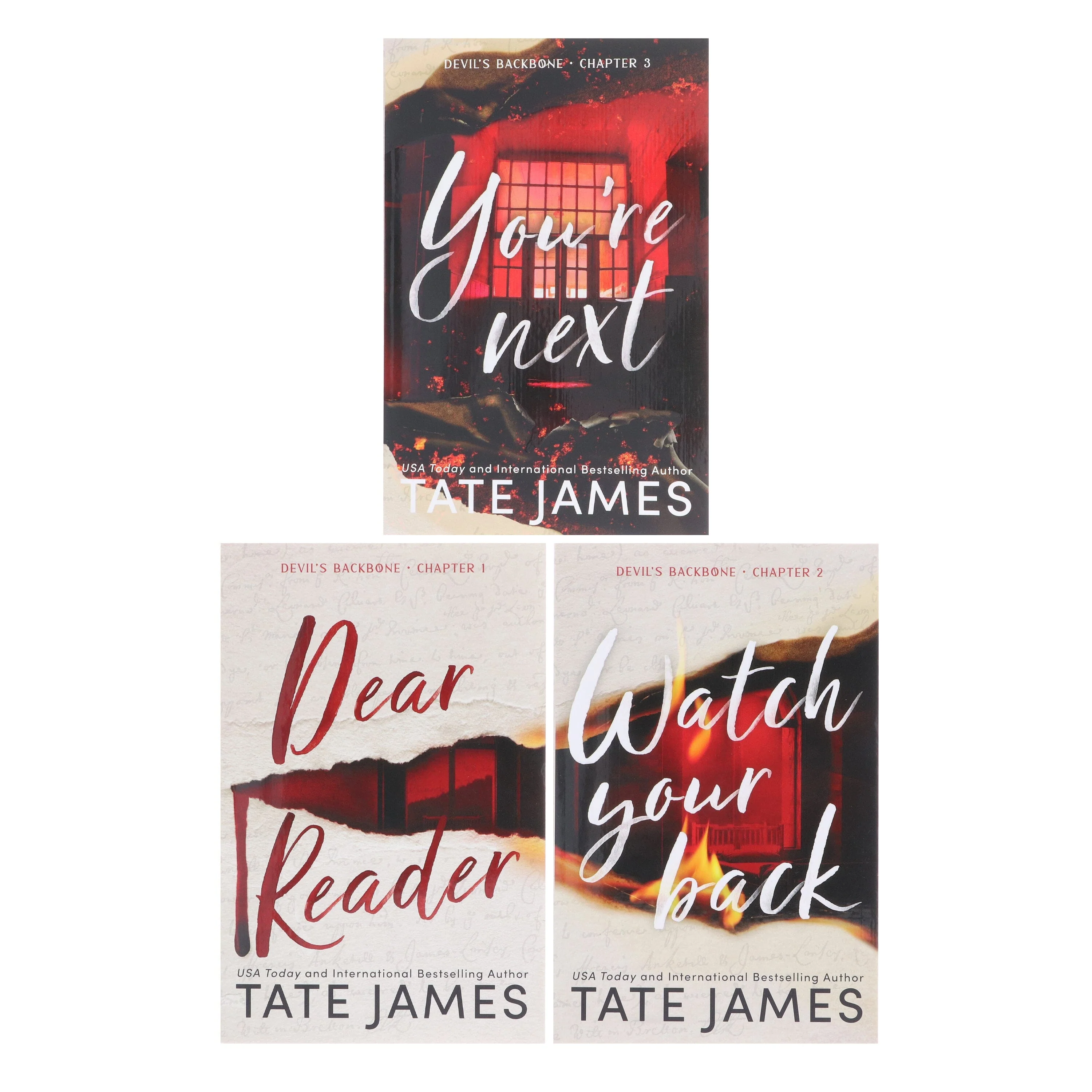 Devil's Backbone Series by Tate James 3 Books Collection Set - Fiction - Paperback - Image 2