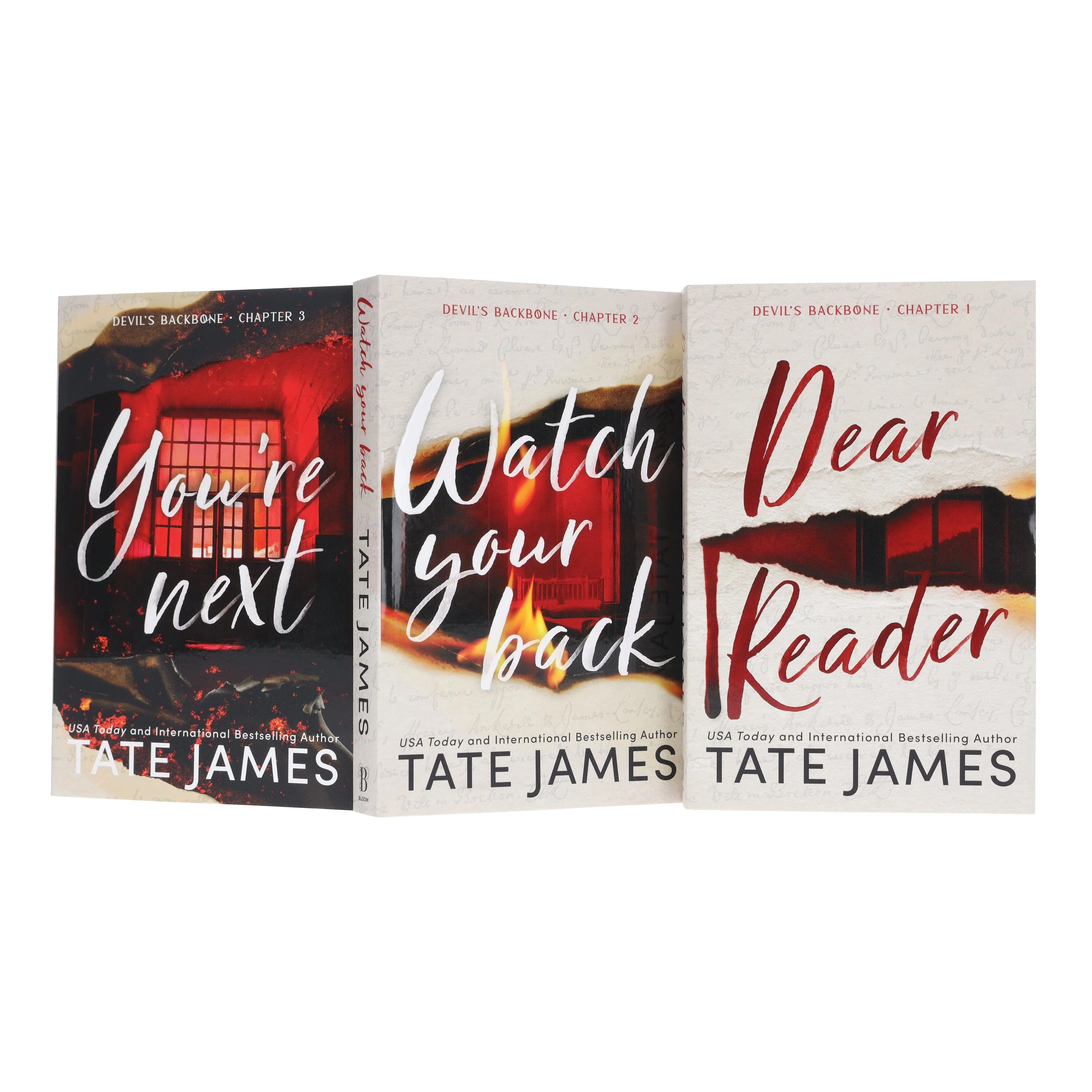 Devil's Backbone Series by Tate James 3 Books Collection Set - Fiction - Paperback - Image 4