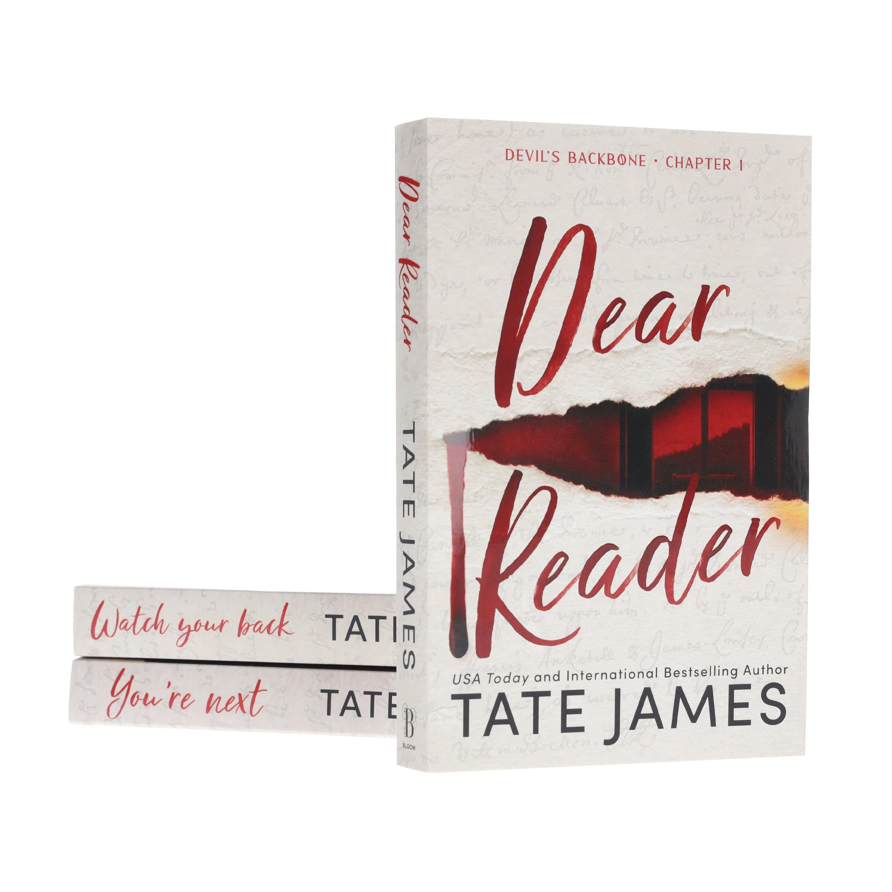 Devil's Backbone Series by Tate James 3 Books Collection Set - Fiction - Paperback - Image 5
