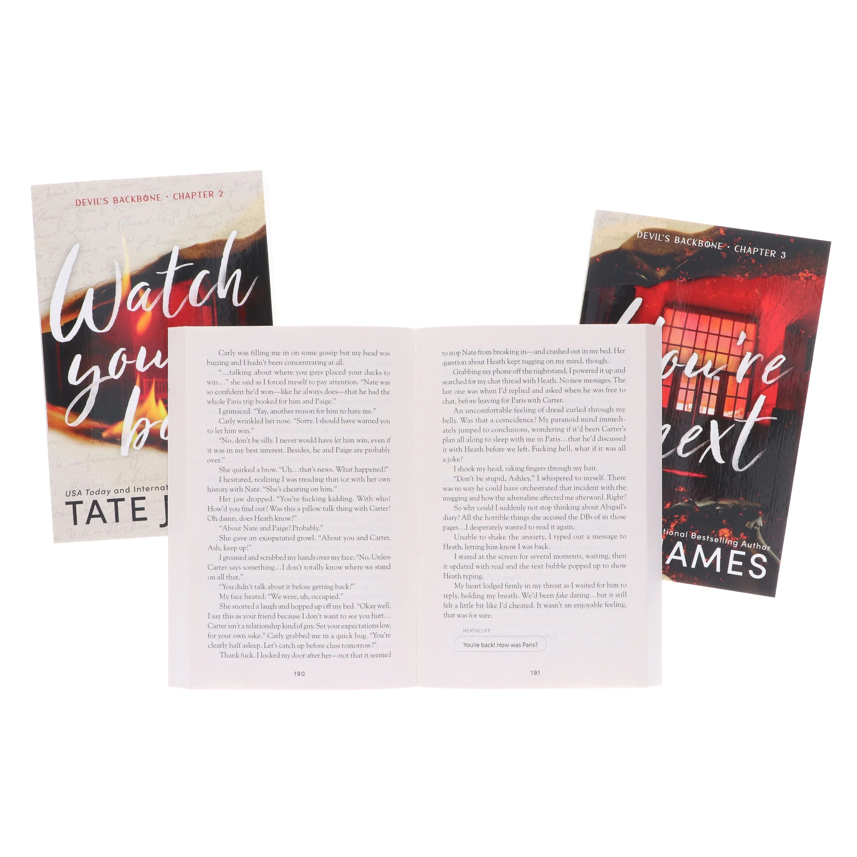 Devil's Backbone Series by Tate James 3 Books Collection Set - Fiction - Paperback - Image 7