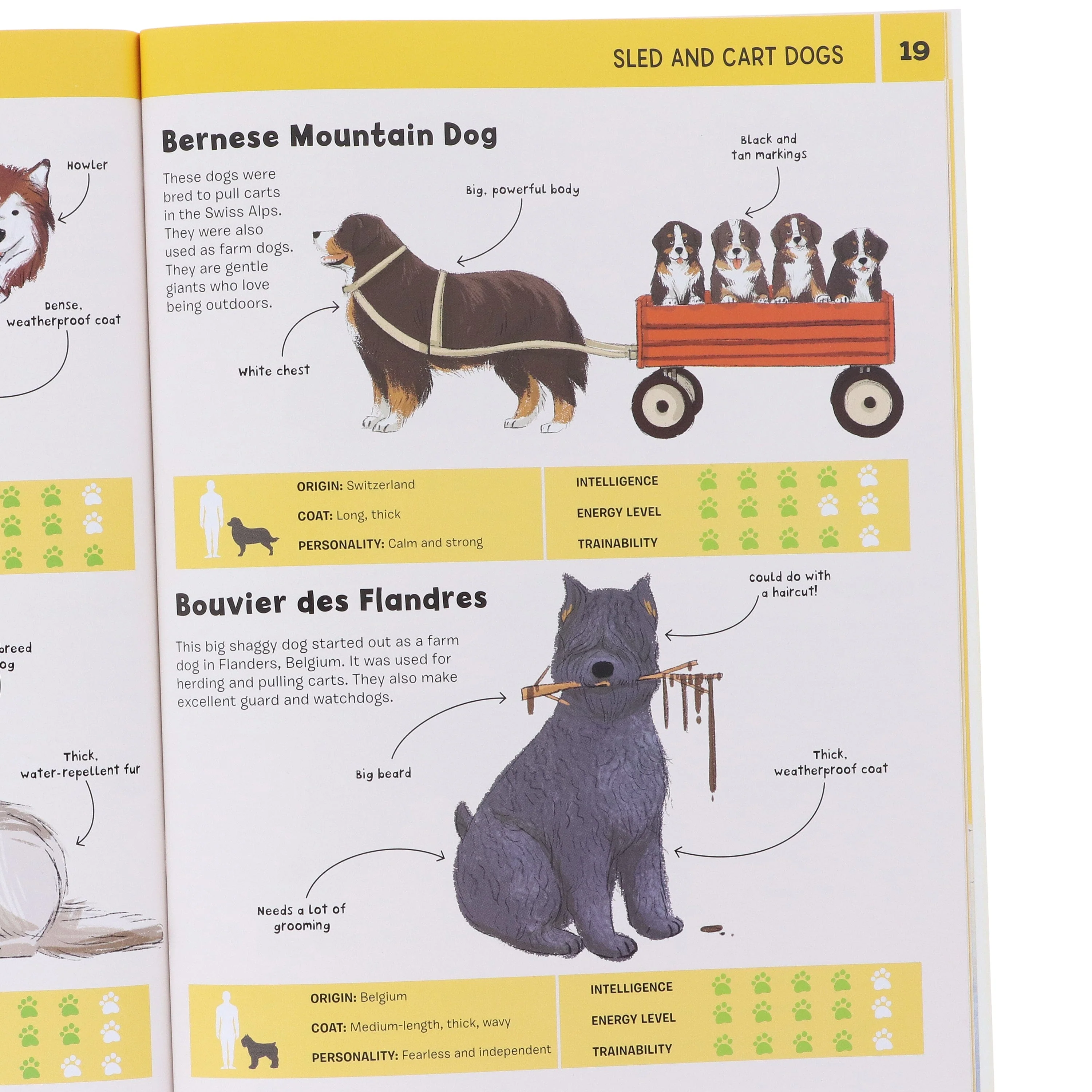 DOGS: Heroic Companion Dogs Series by Annabel Griffin Illustrated 4 Books Collection Set - Ages 6+ - Paperback - Image 4