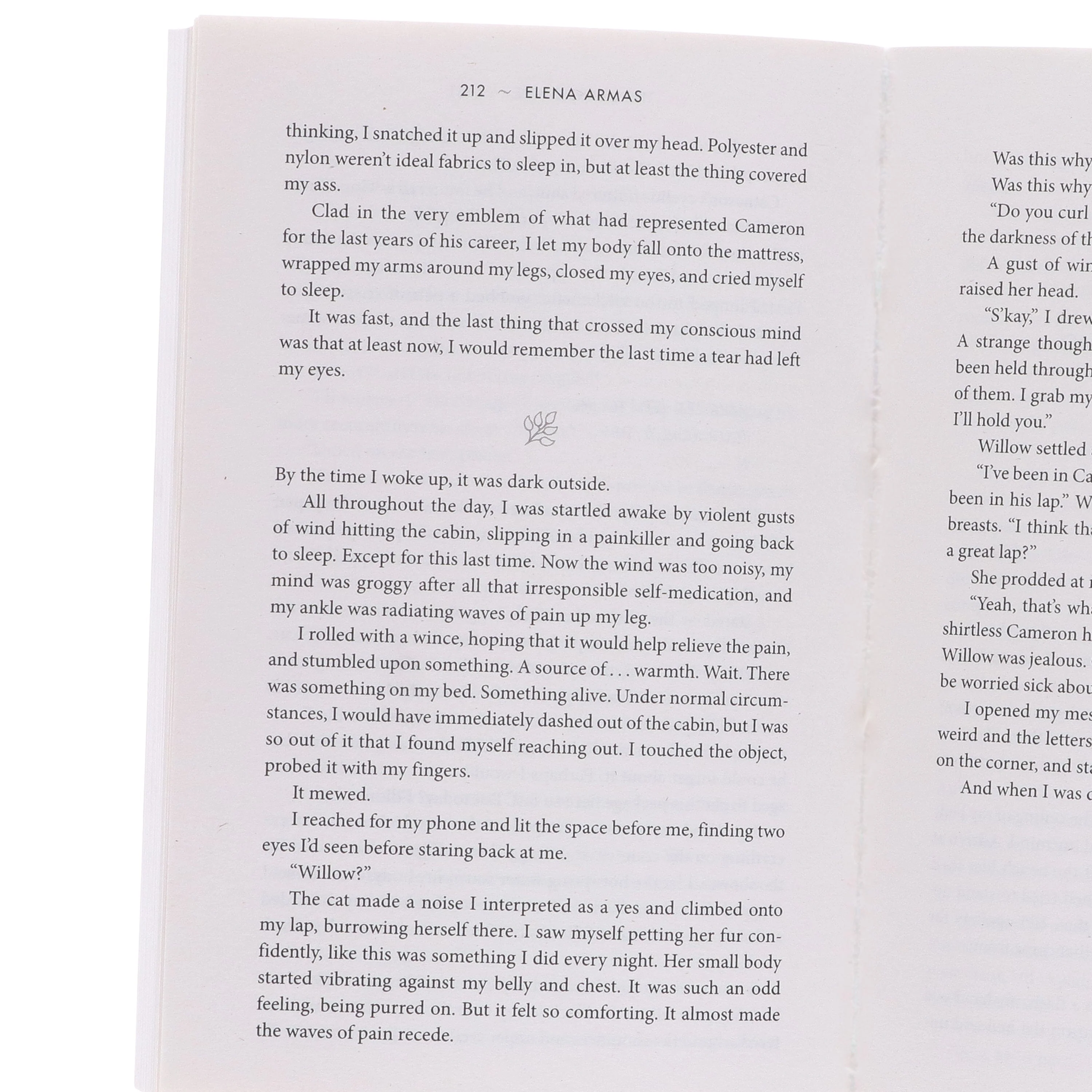 Elena Armas 4 Books Collection Set - Fiction - Paperback - Image 4