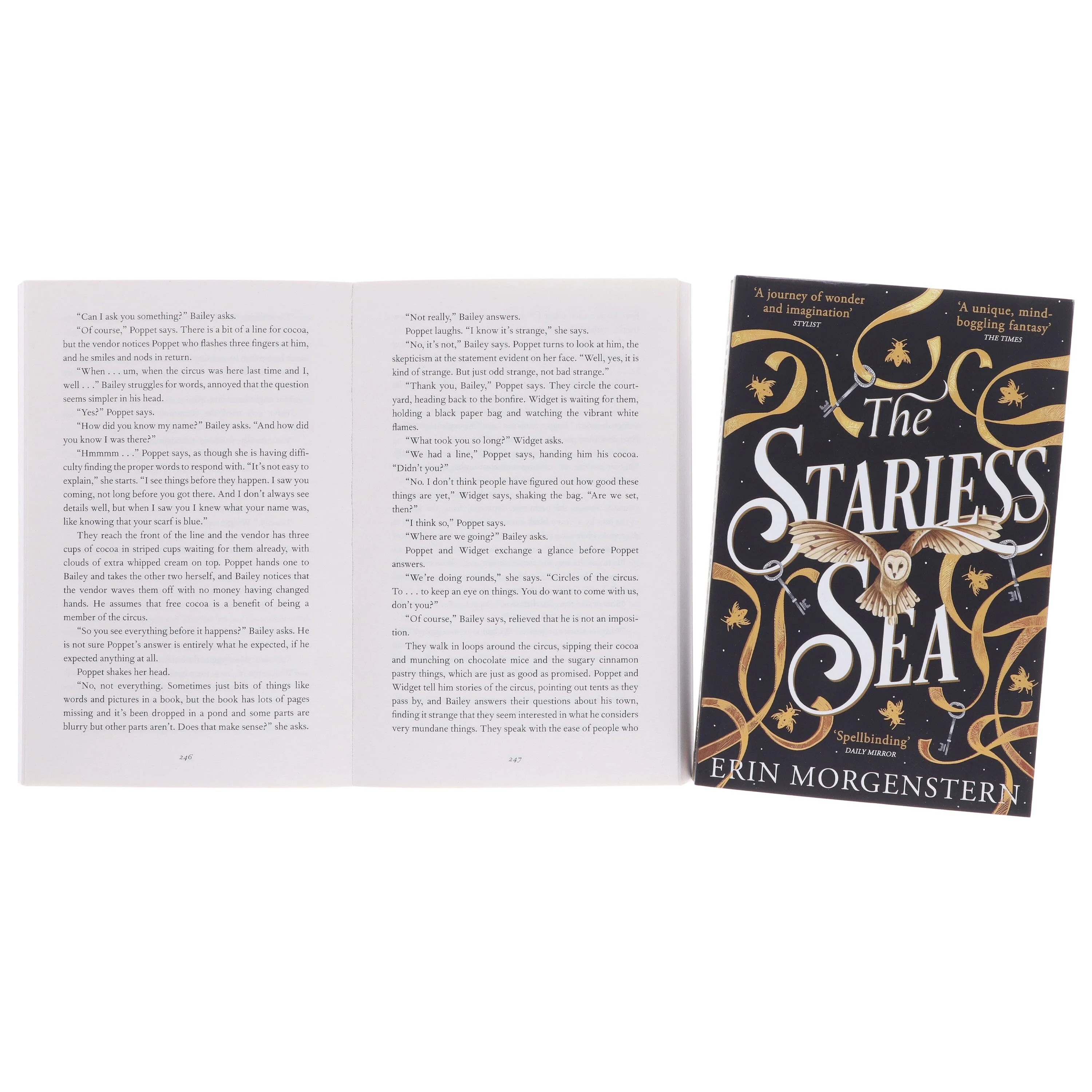 Erin Morgenstern Collection (The Night Circus & The Starless Sea) 2 Books Set - Fiction - Paperback - Image 8