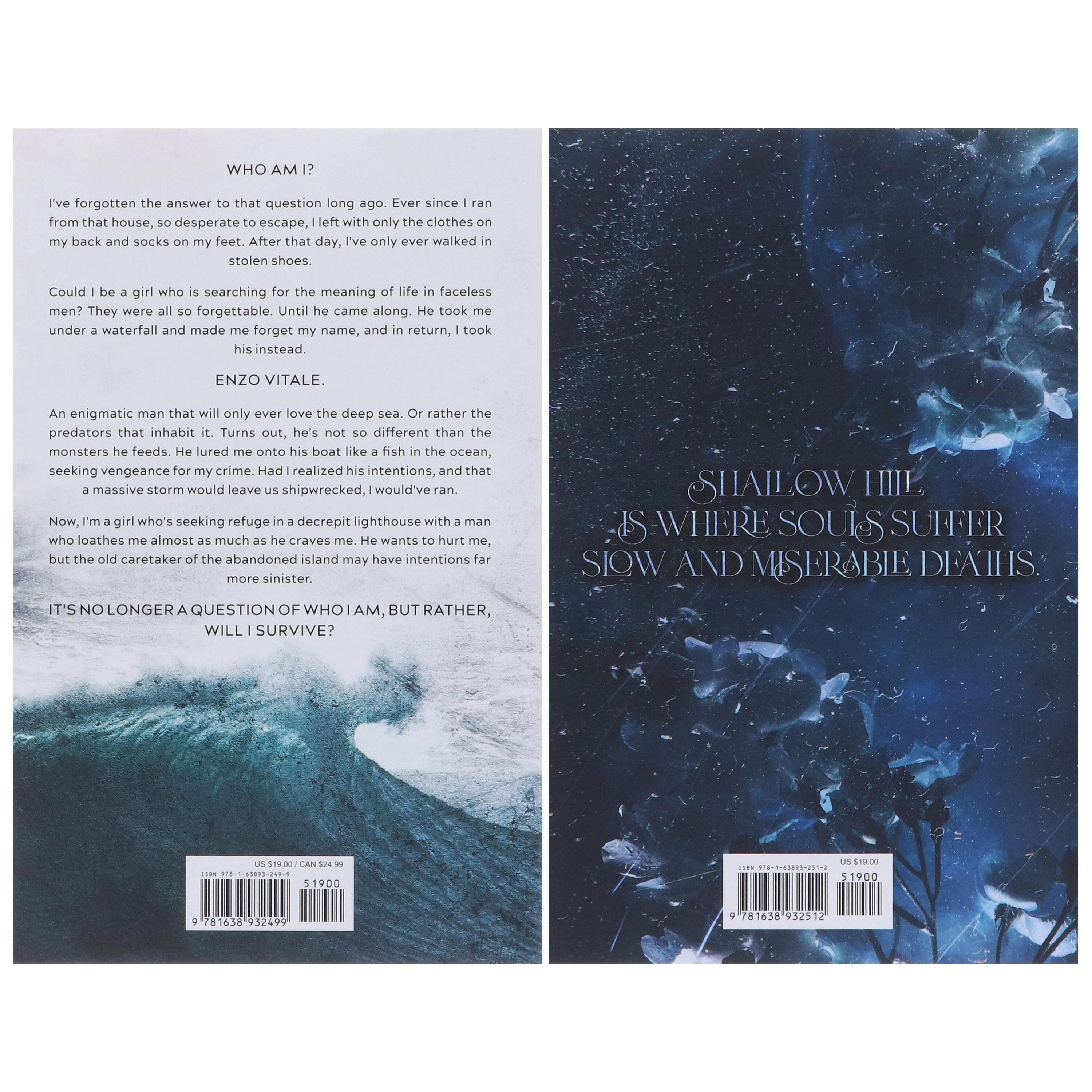 H. D. Carlton Collection (Does It Hurt? & Shallow River) 2 Books Set - Fiction - Paperback - Image 3