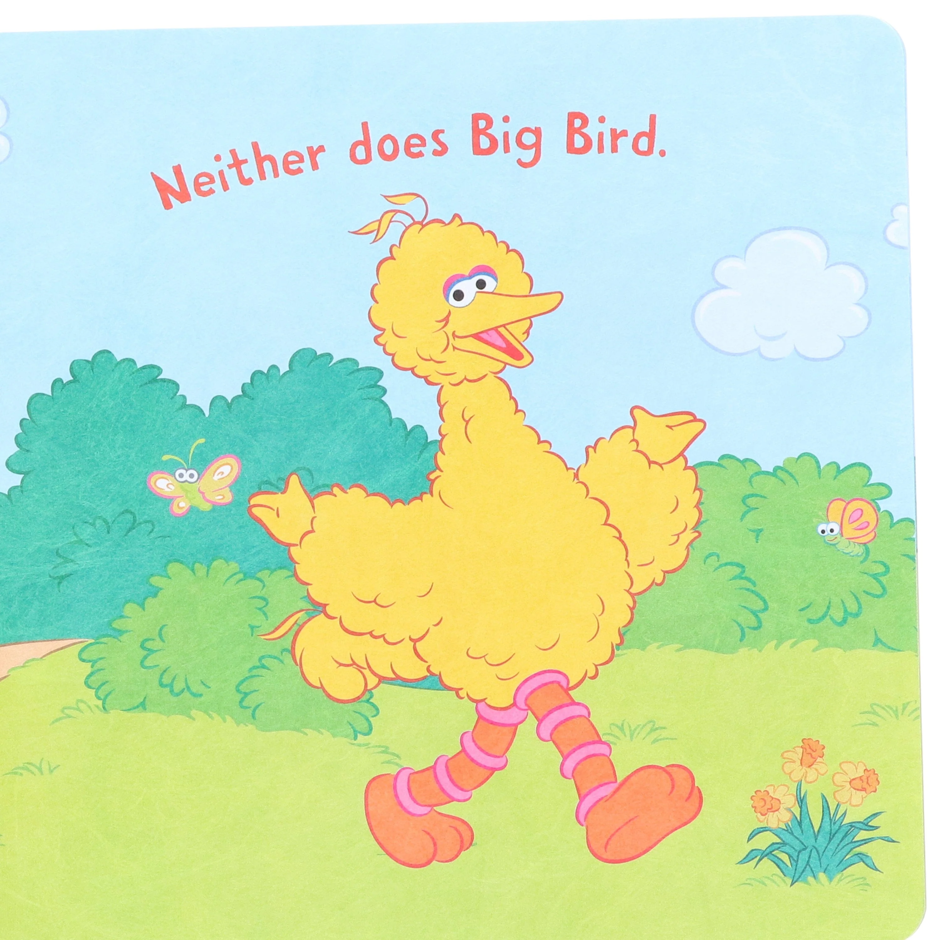 Indestructibles: Sesame Street: by Amy Pixton 5 Picture Books Collection Set - Ages 2-5 Years - Paperback - Image 6