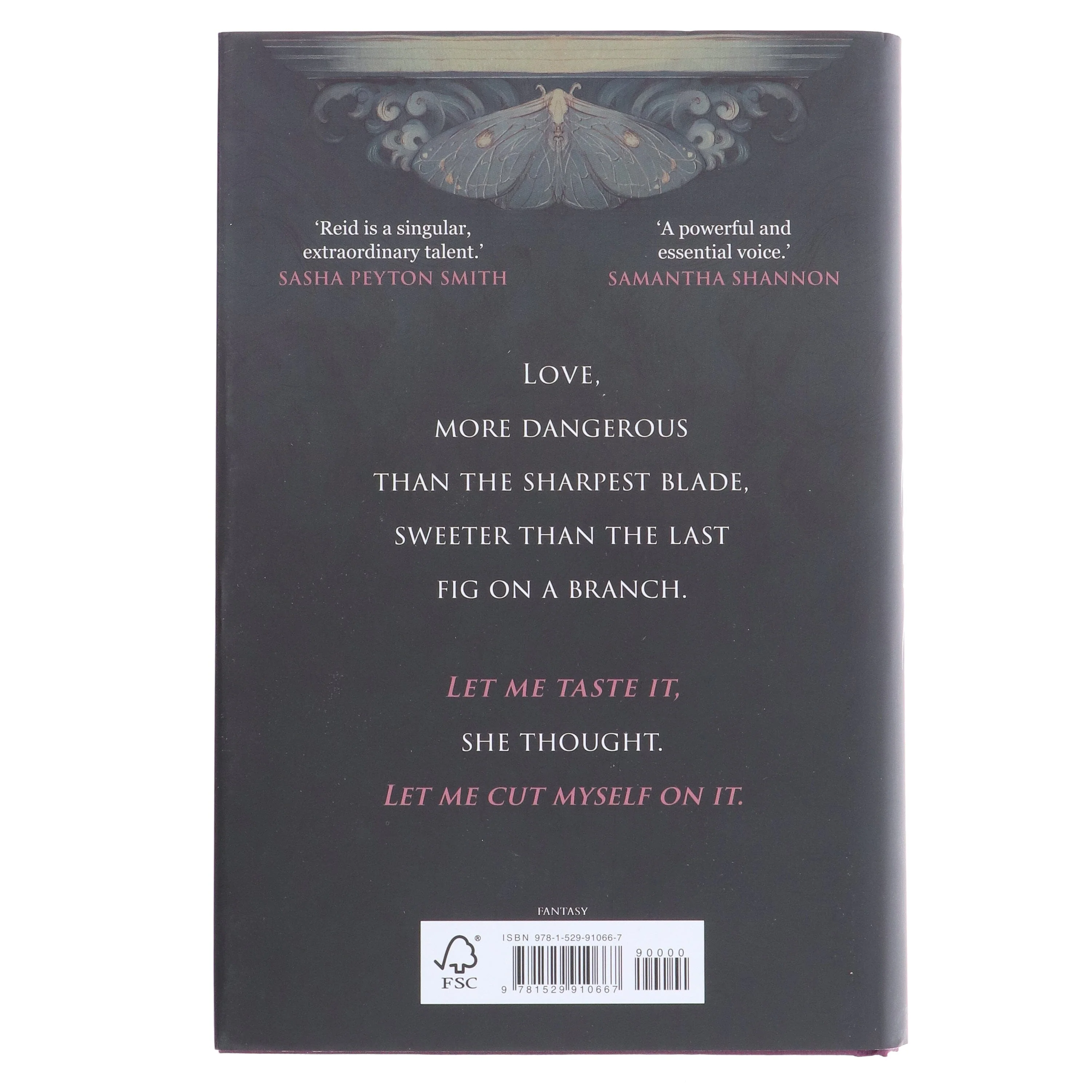 Innamorata (Book One of The House of Teeth Duology) by Ava Reid - Fiction - Hardback - Image 3