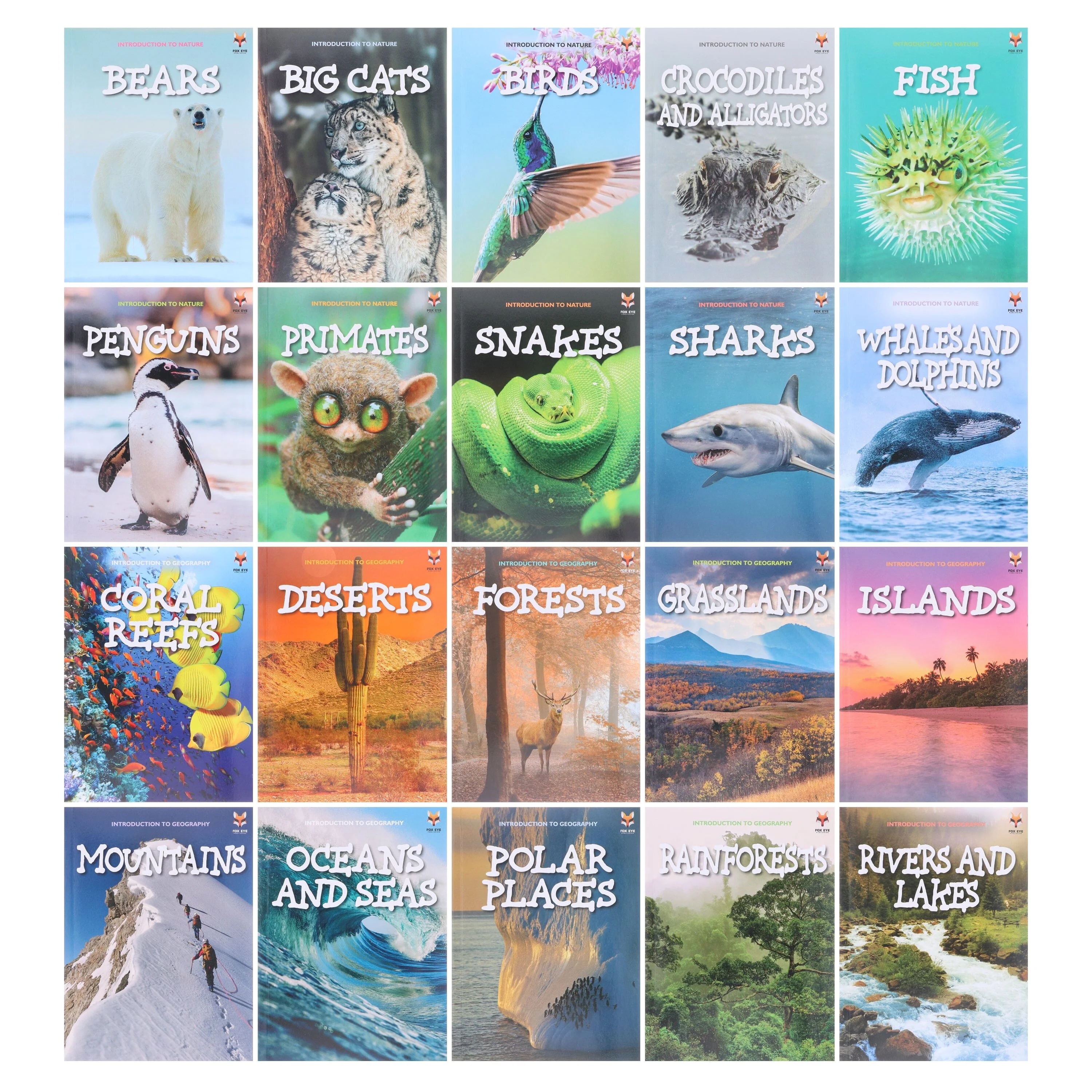 Introduction to Nature and Geography by Jasmine Brooke 20 Book Collection Box Set - Ages 7+ - Paperback - Image 2