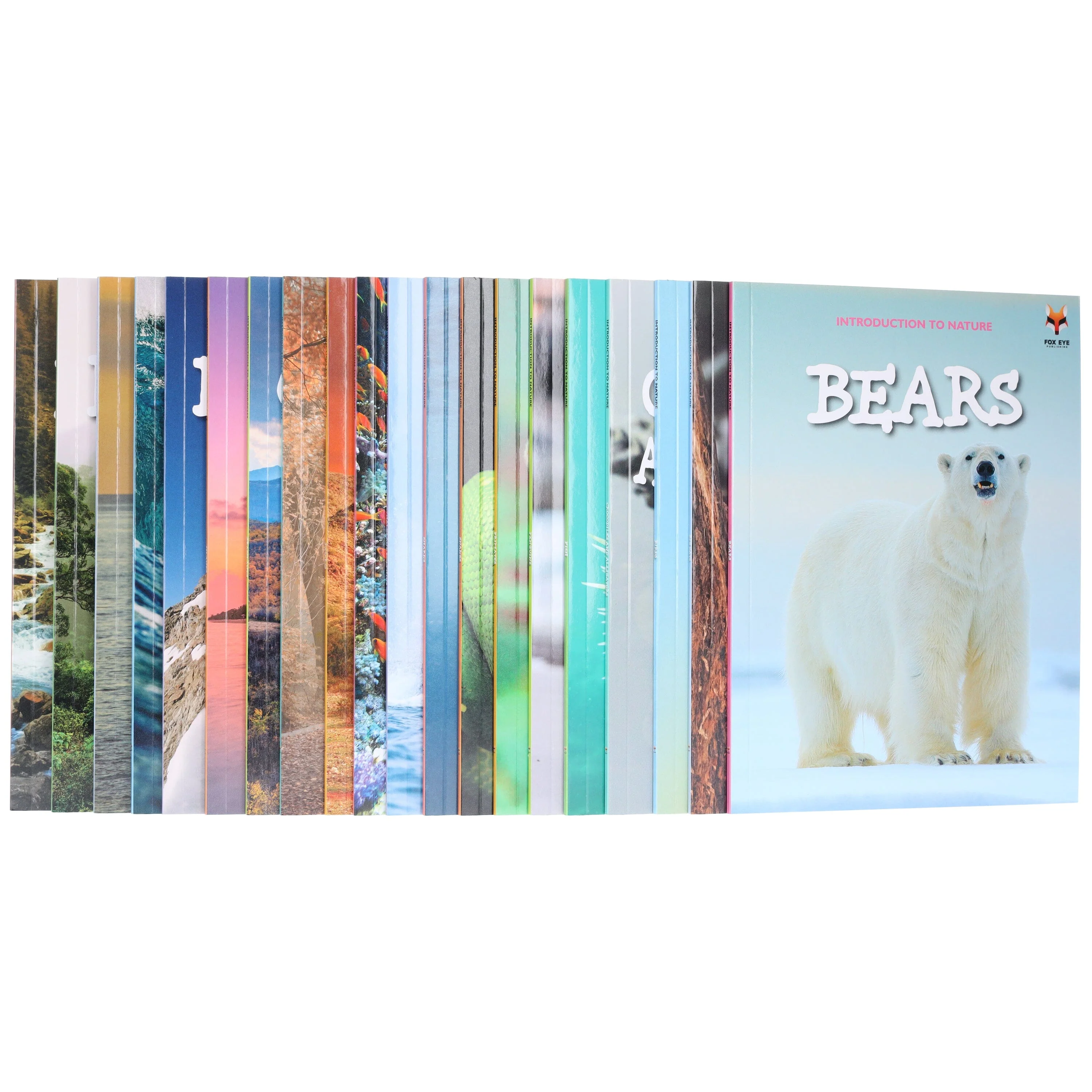 Introduction to Nature and Geography by Jasmine Brooke 20 Book Collection Box Set - Ages 7+ - Paperback - Image 4