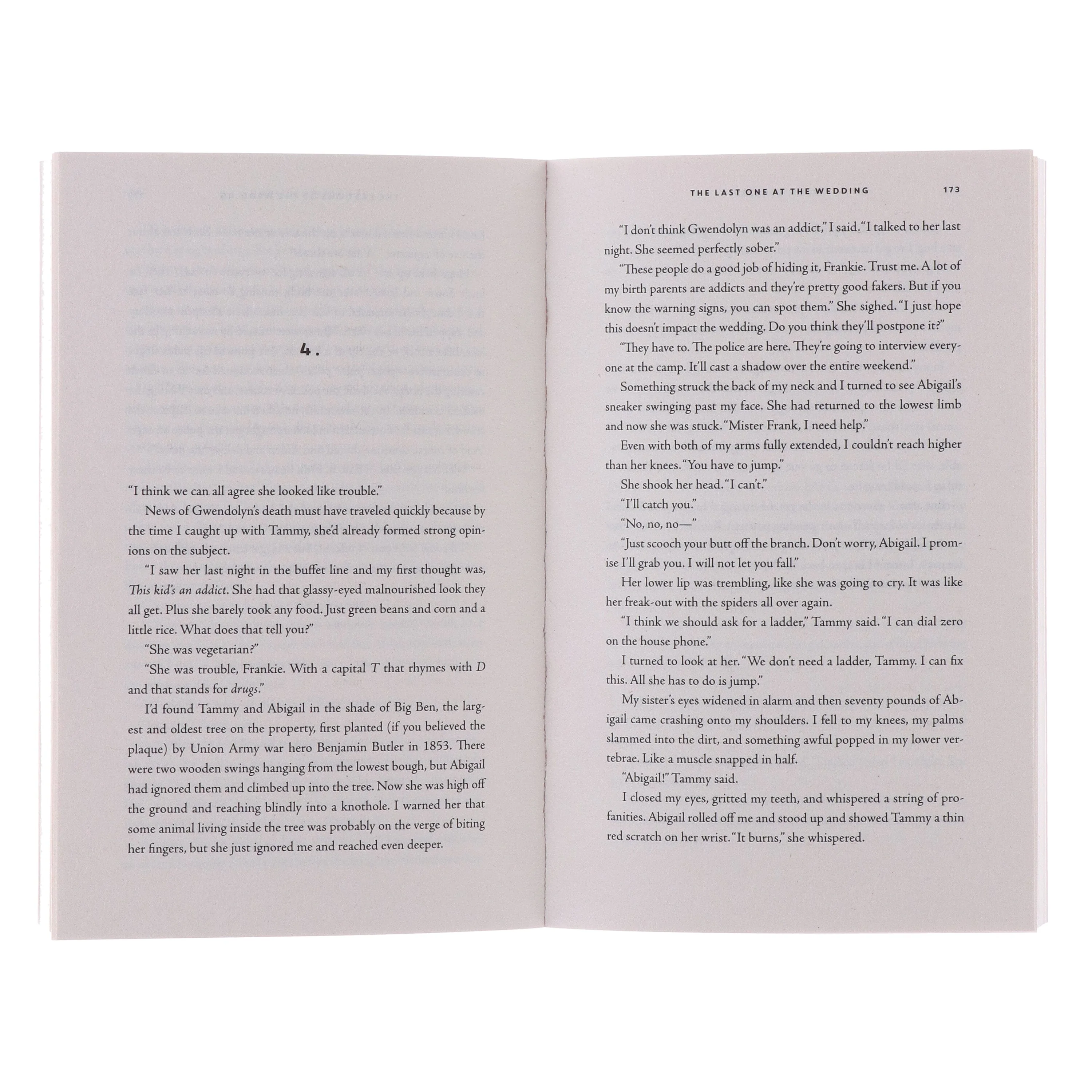 Jason Rekulak Collection (Hidden Pictures & The Last One at the Wedding) 2 Books Set - Fiction - Paperback - Image 5