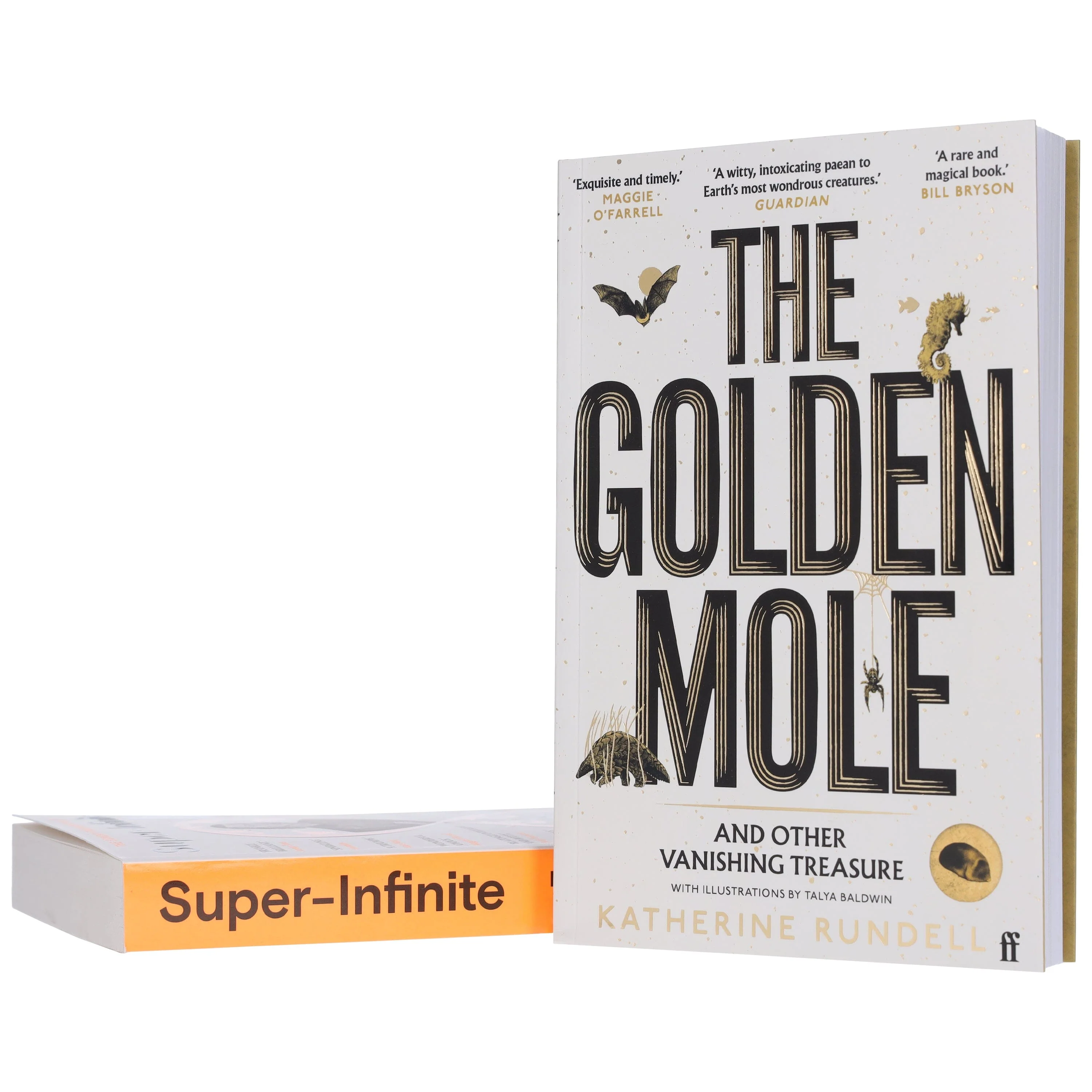 Katherine Rundell Collection (The Golden Mole & Super-Infinite) 2 Books Set - Non Fiction - Paperback - Image 6