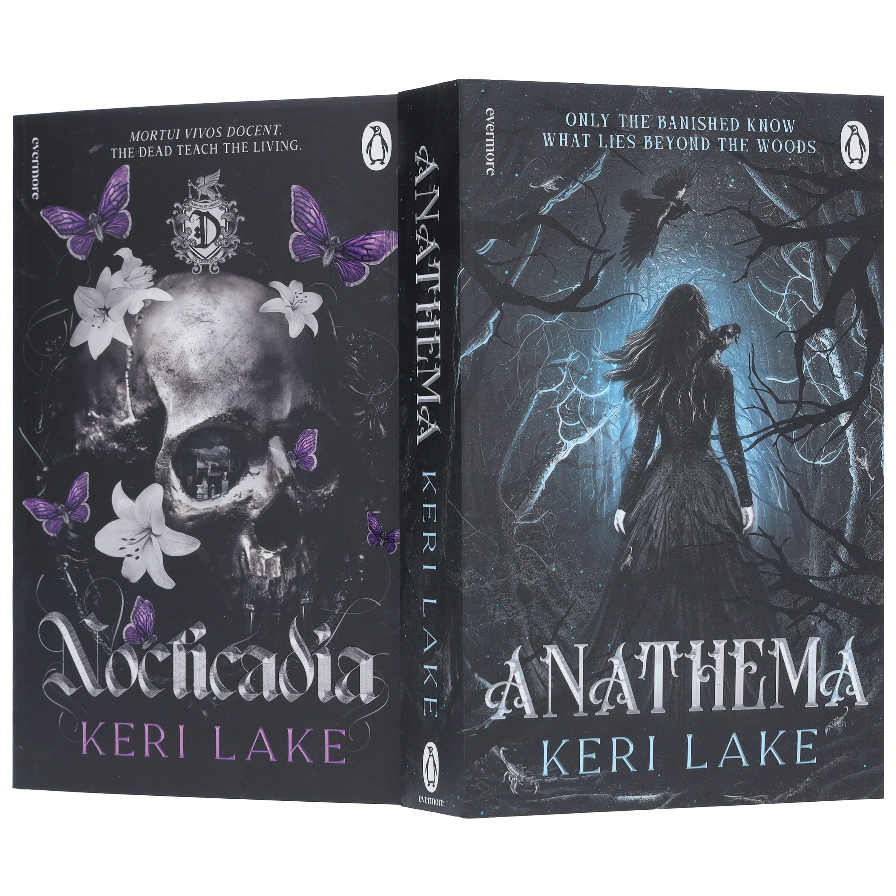 Keri Lake Collection (Anathema & Nocticadia) 2 Books Set - Fiction - Paperback - Image 5