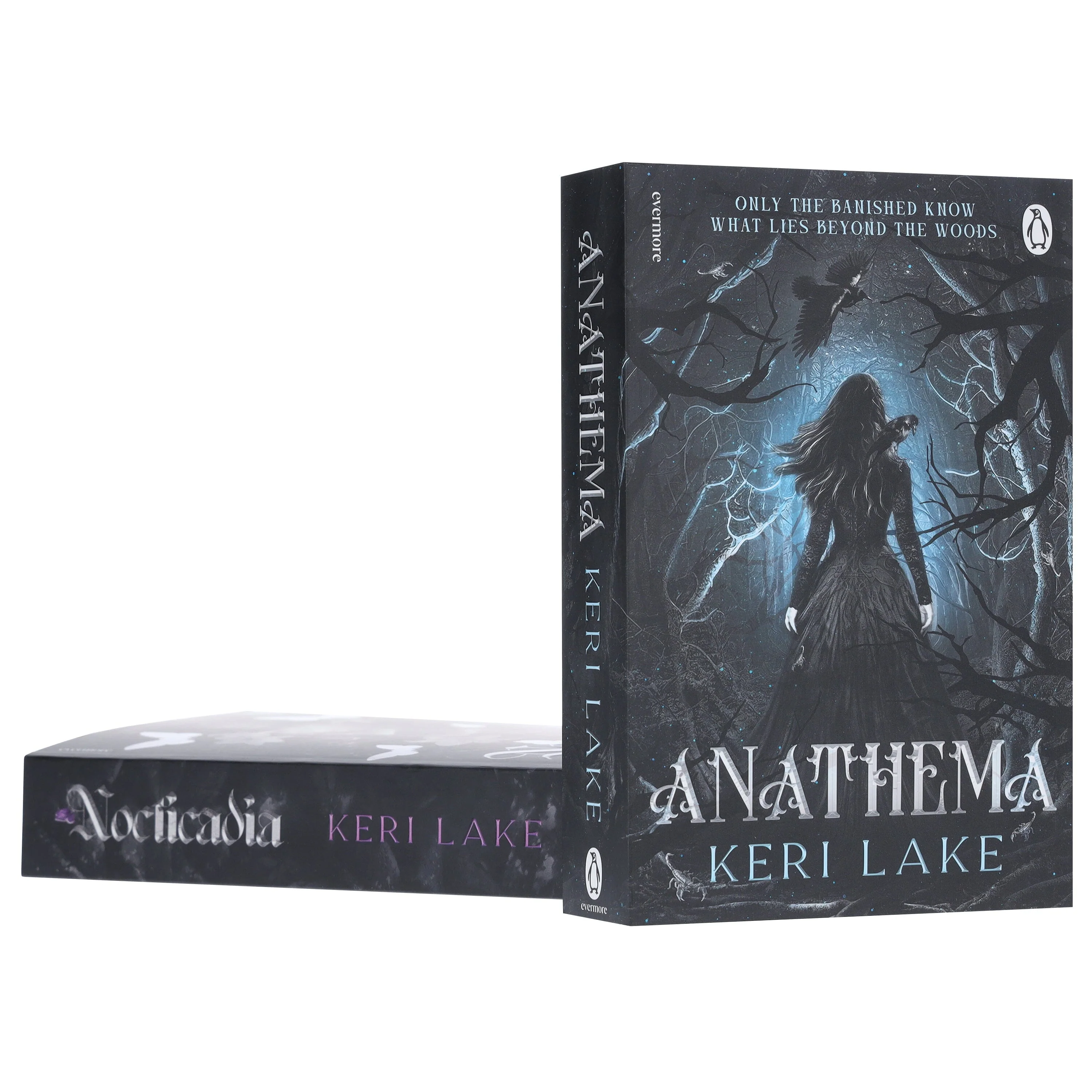 Keri Lake Collection (Anathema & Nocticadia) 2 Books Set - Fiction - Paperback - Image 6