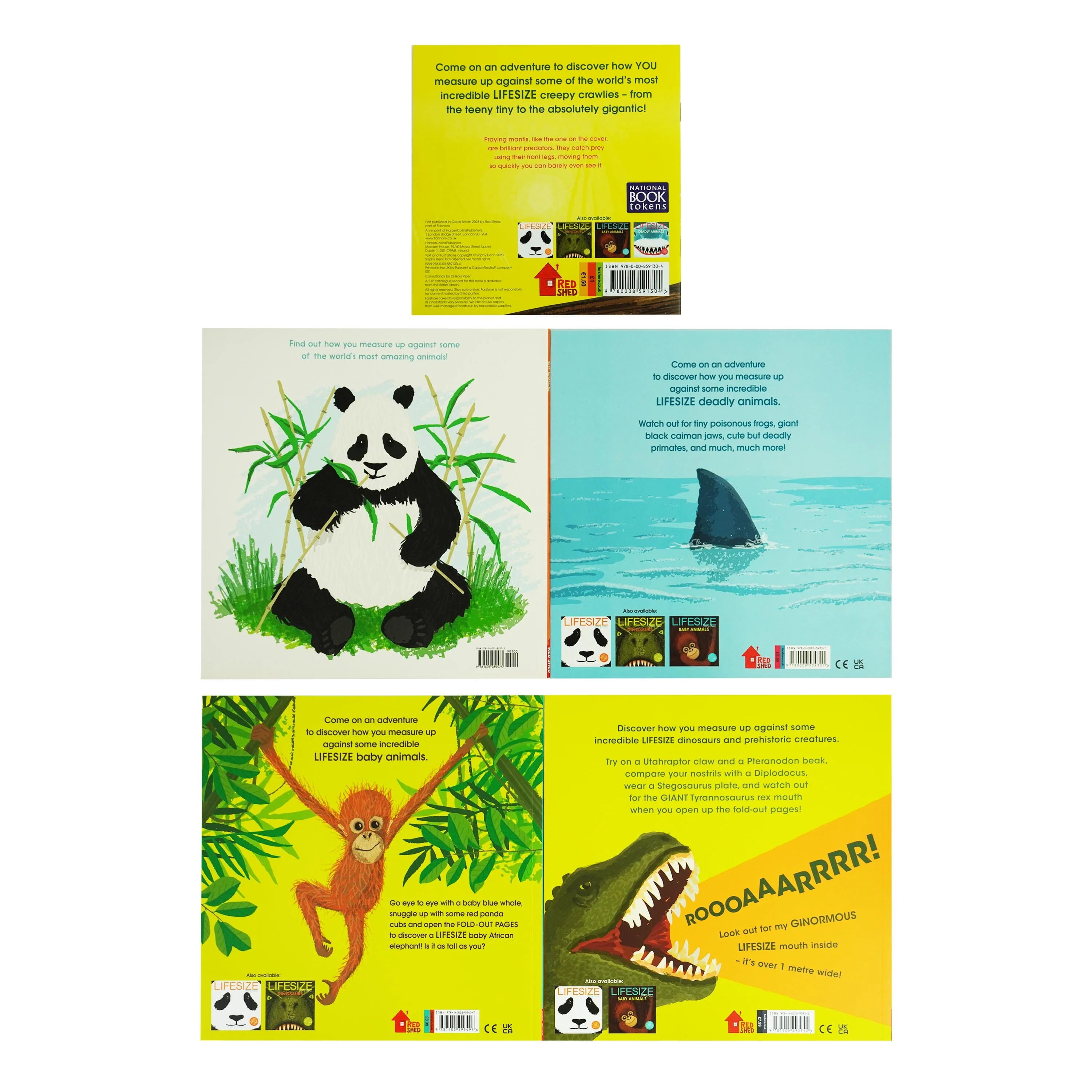 Damaged - Lifesize Series with World Book Day 2023 5 Books Set by Sophy Henn - Ages 3-5 - Paperback - T 36 - Image 3