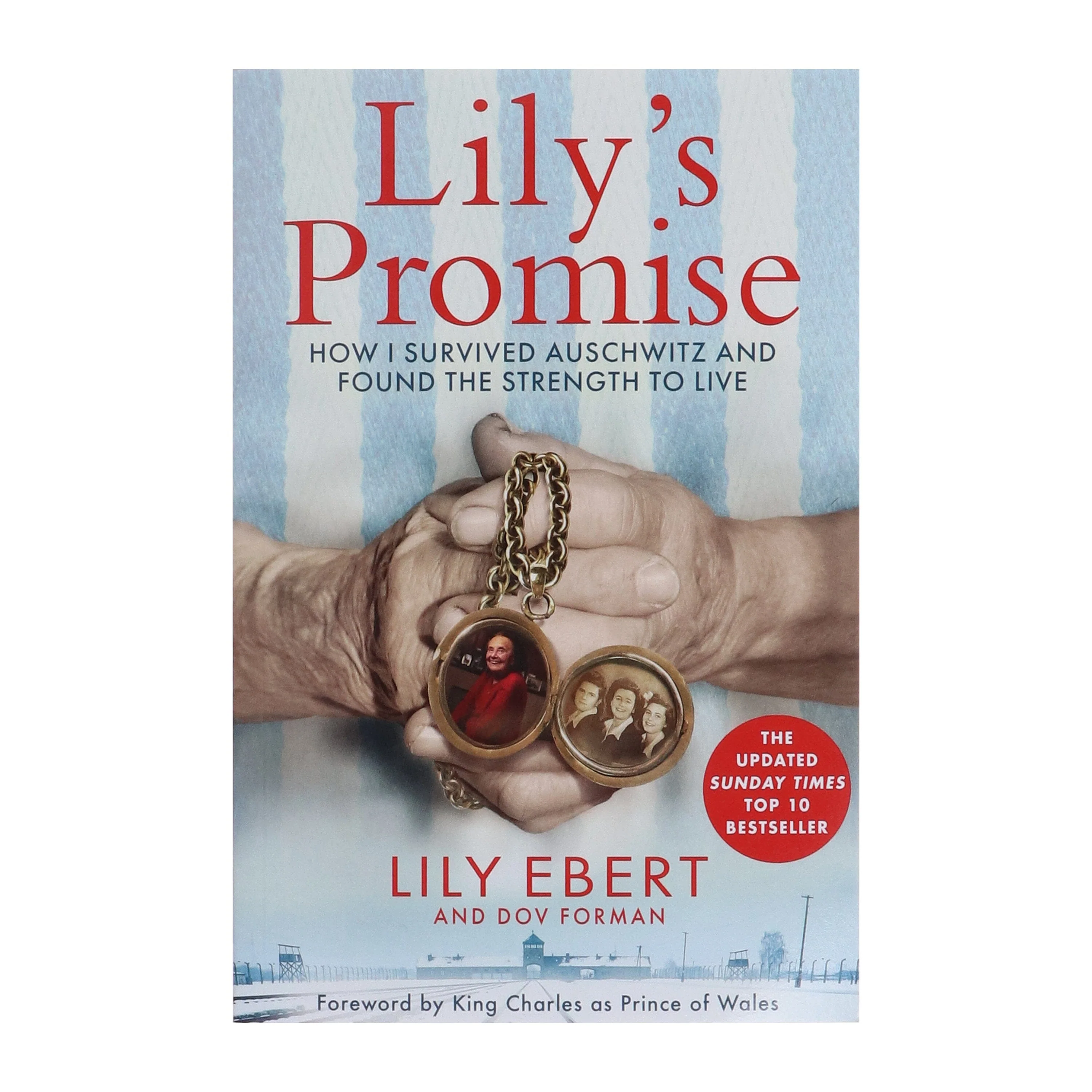 Lily's Promise: How I Survived Auschwitz and Found the Strength to Live by Lily Ebert & Dov Forman - Non Fiction - Paperback - Image 2