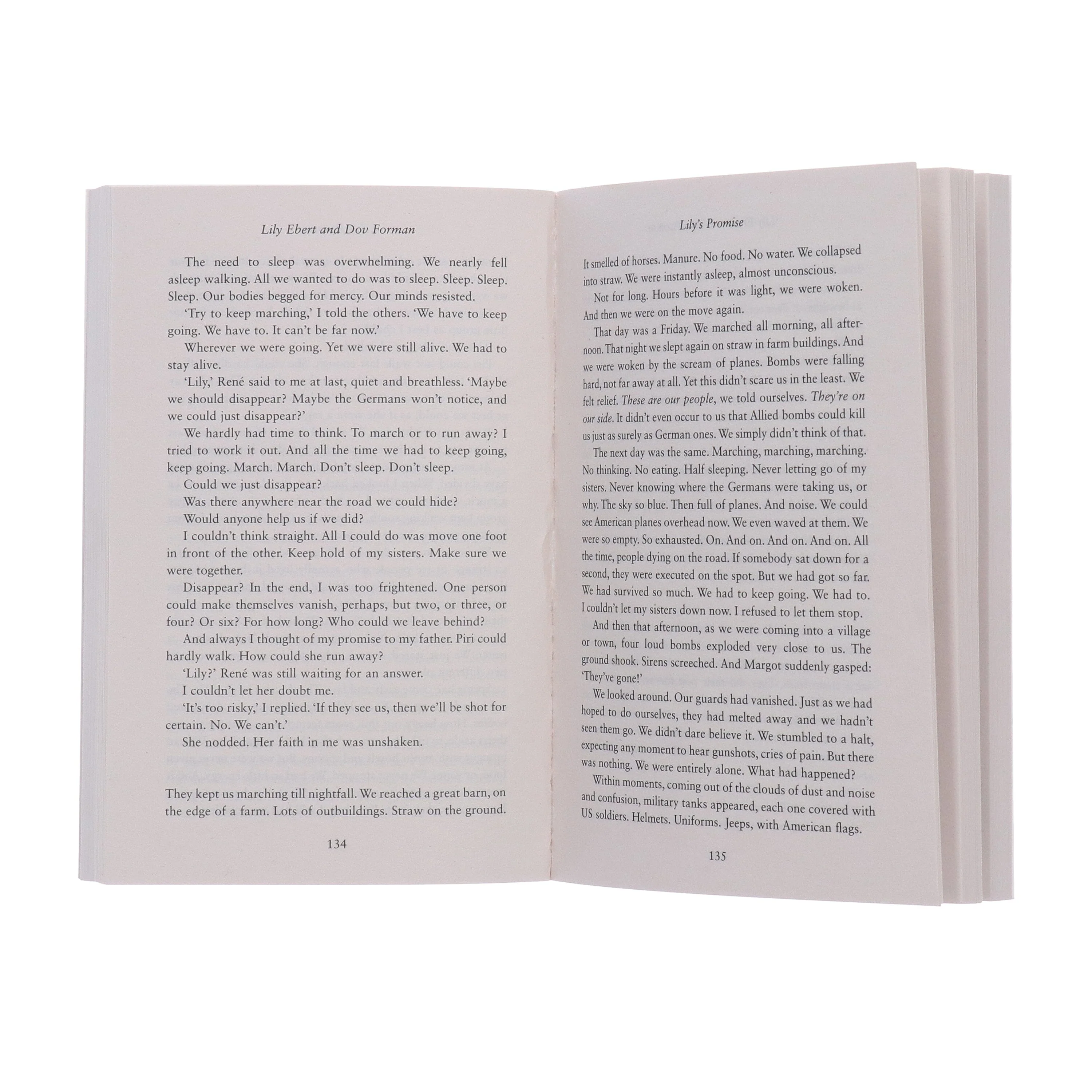 Lily's Promise: How I Survived Auschwitz and Found the Strength to Live by Lily Ebert & Dov Forman - Non Fiction - Paperback - Image 5