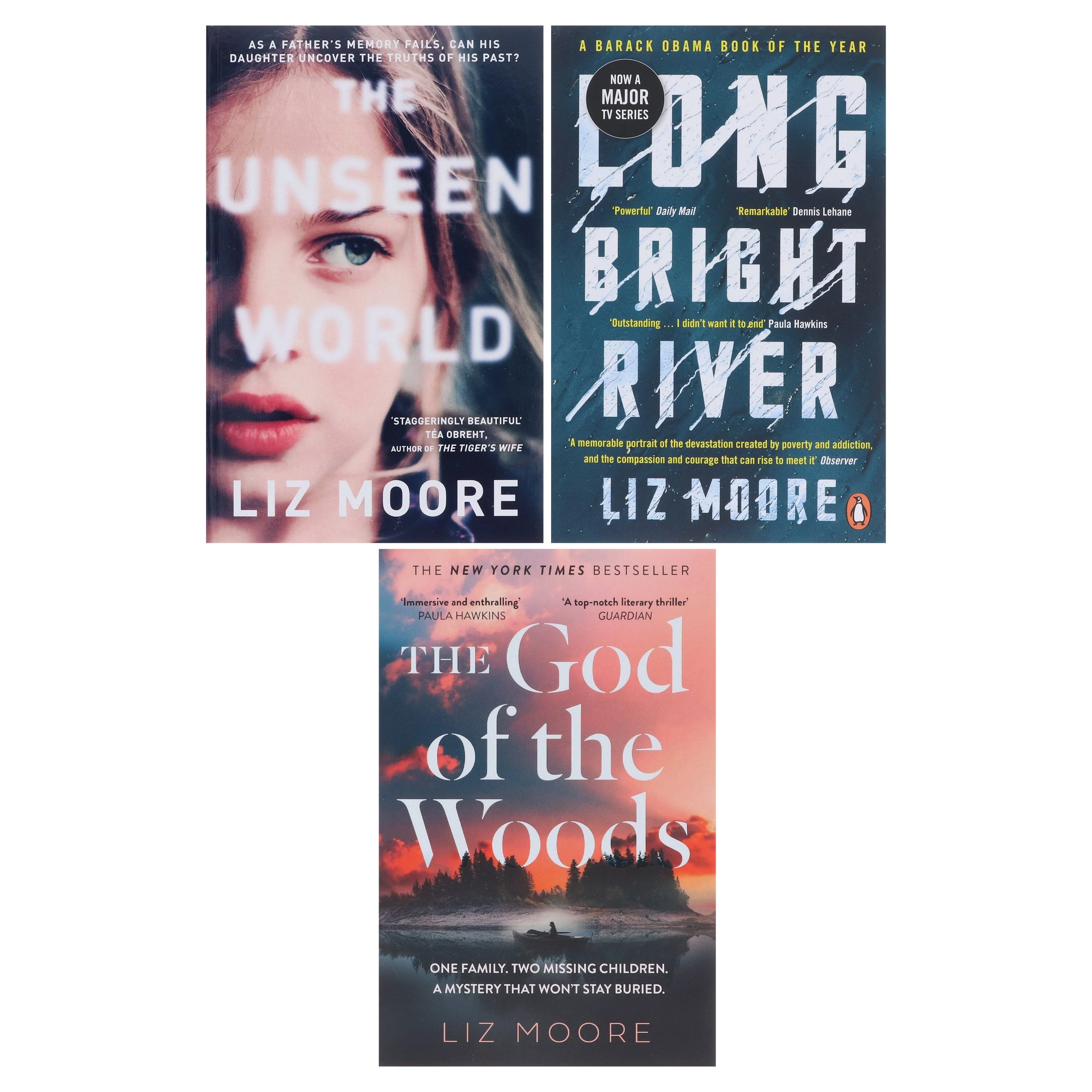 Liz Moore Collection 3 Books Set - Fiction - Paperback - Image 2