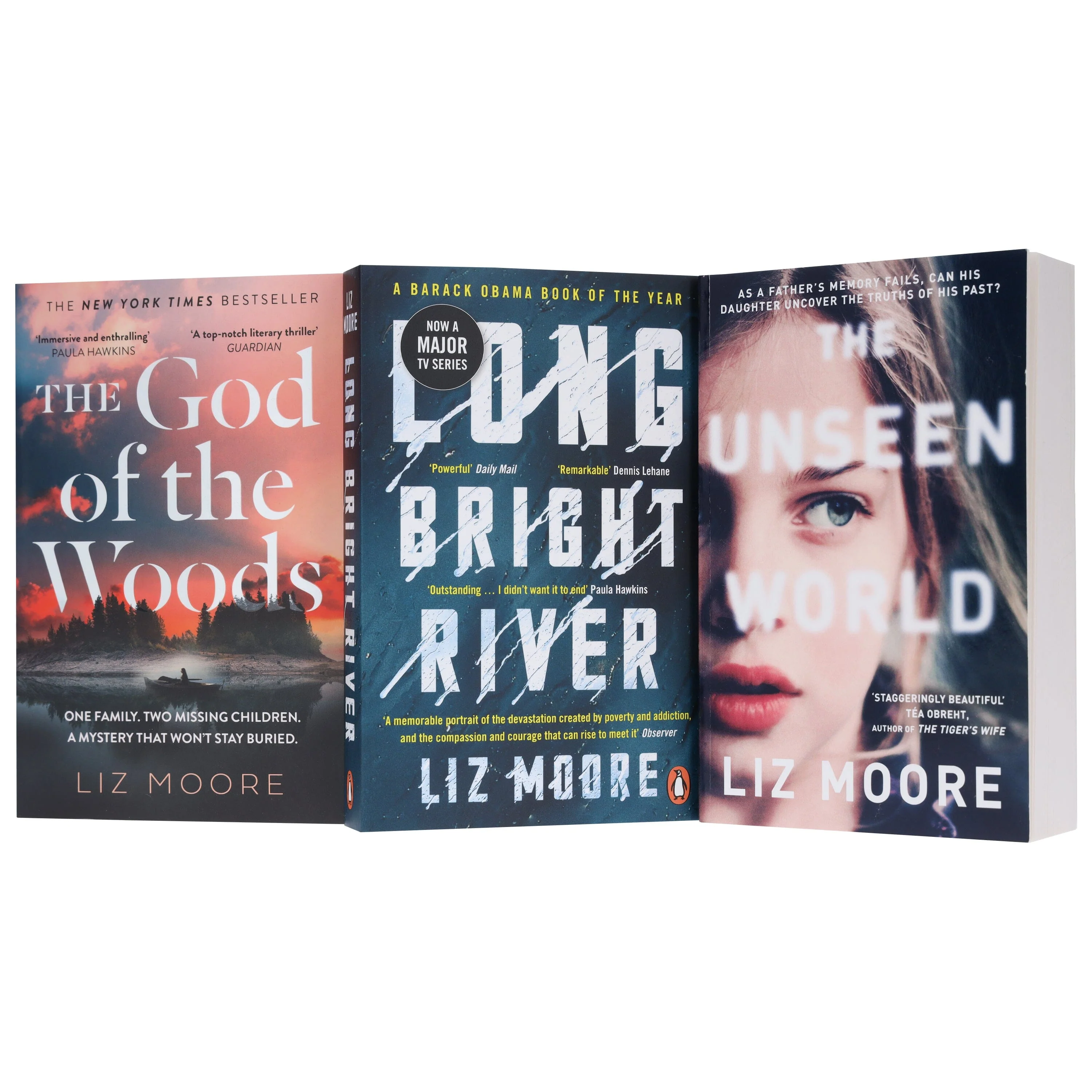 Liz Moore Collection 3 Books Set - Fiction - Paperback - Image 4