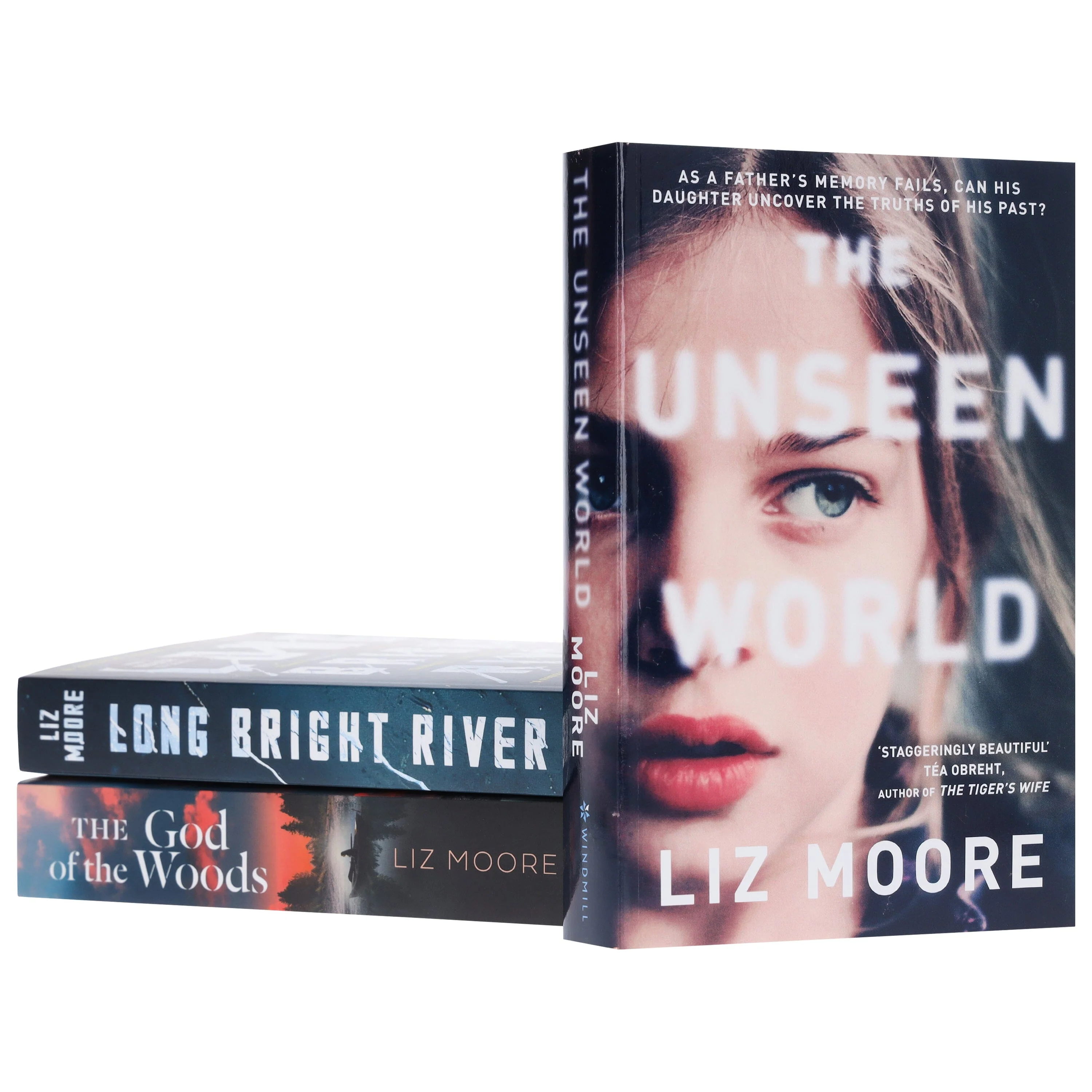 Liz Moore Collection 3 Books Set - Fiction - Paperback - Image 5