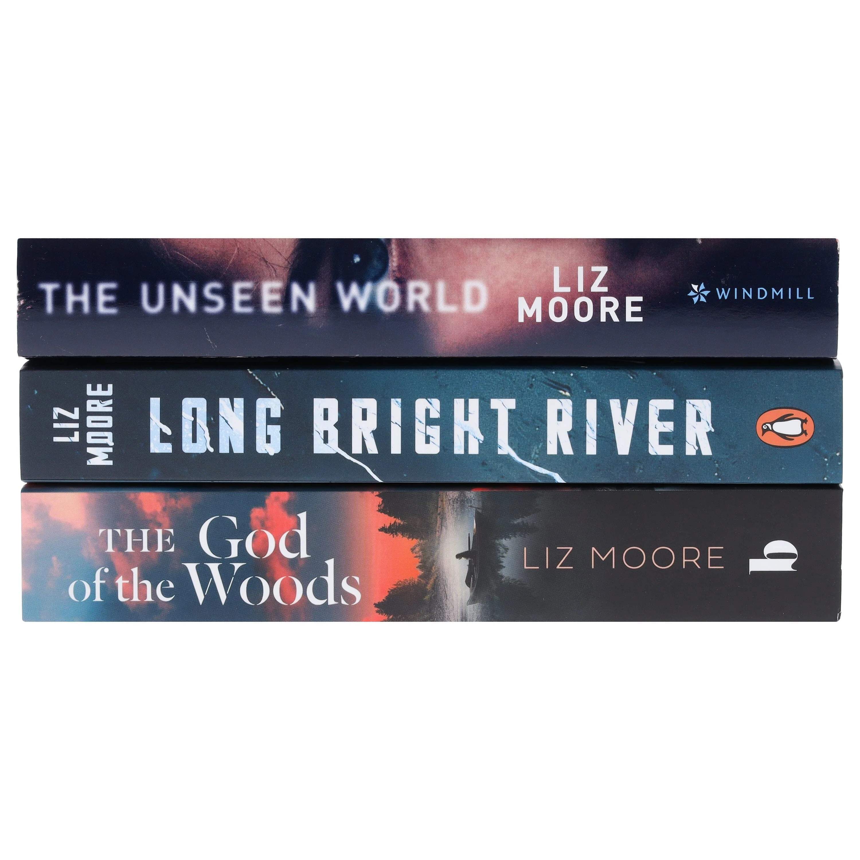 Liz Moore Collection 3 Books Set - Fiction - Paperback - Image 6